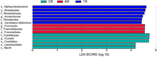 Sustainability 14 14728 g004