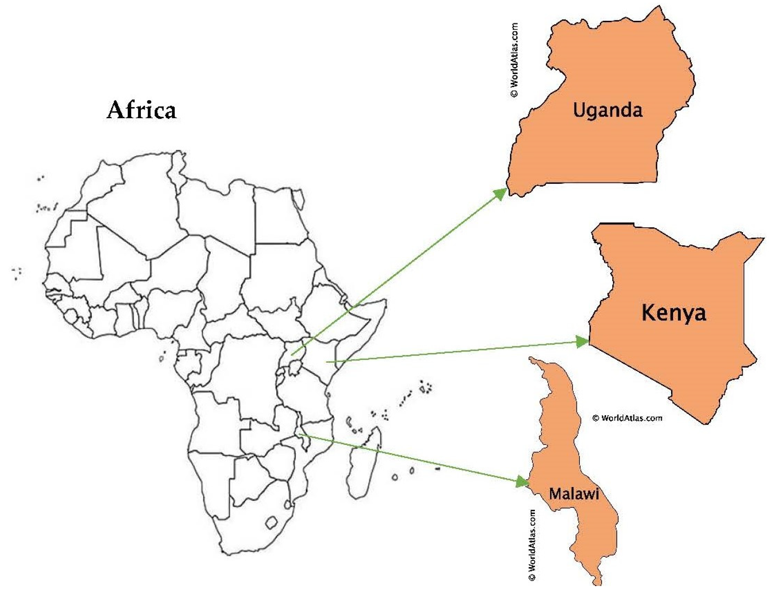 Sustainability 14 14729 g001 Sustainability 14 14729 g001