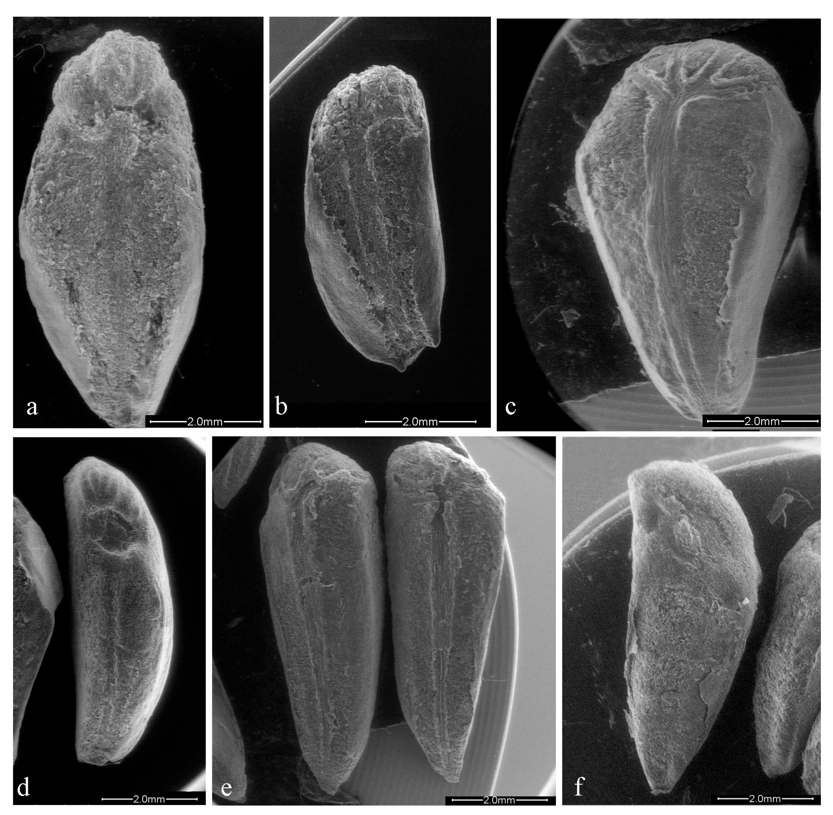 Sustainability 14 14780 g001 Sustainability 14 14780 g001