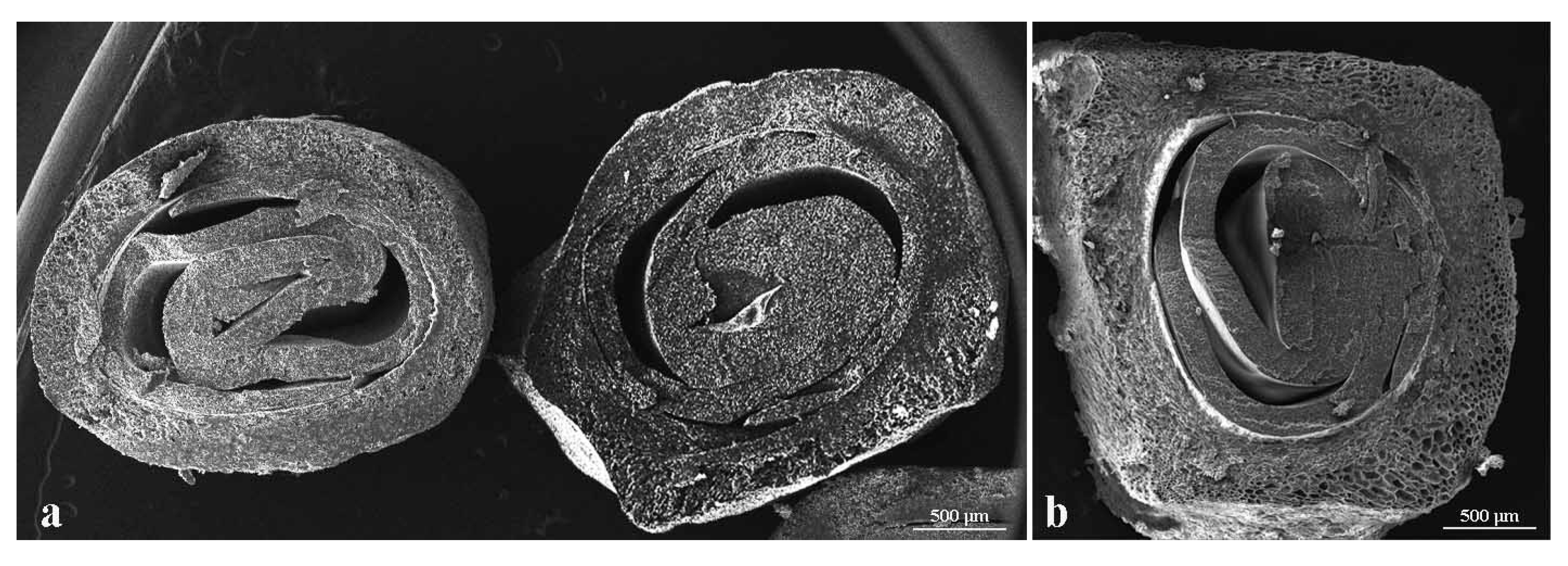 Sustainability 14 14780 g004 Sustainability 14 14780 g004