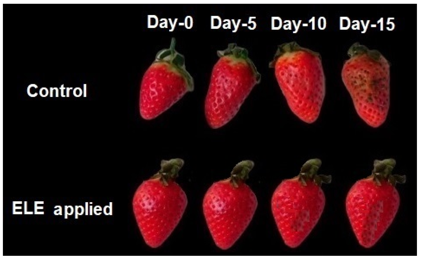 Sustainability 14 14822 g001