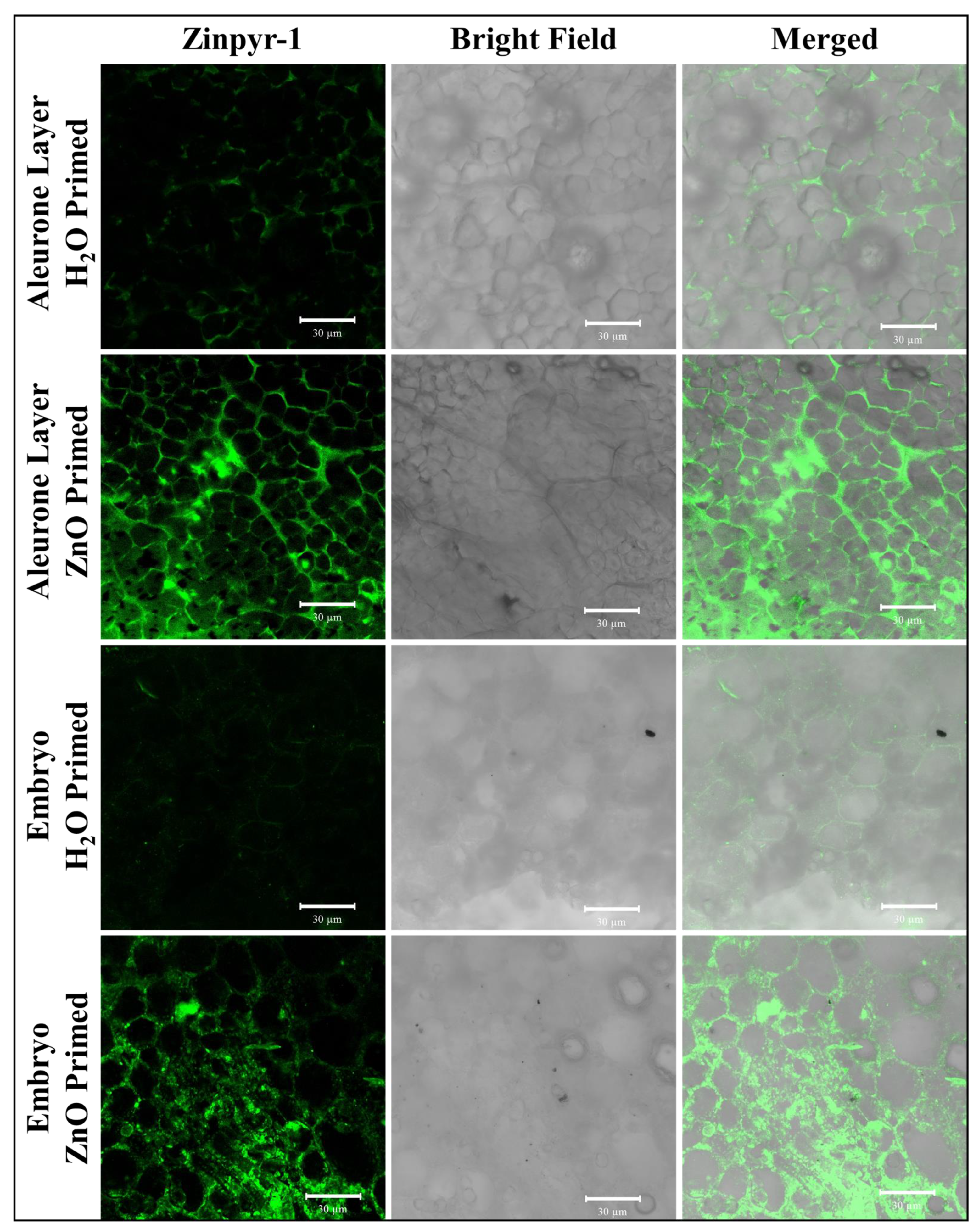 Sustainability 14 14880 g002 Sustainability 14 14880 g002