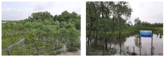 Sustainability 14 14885 g002