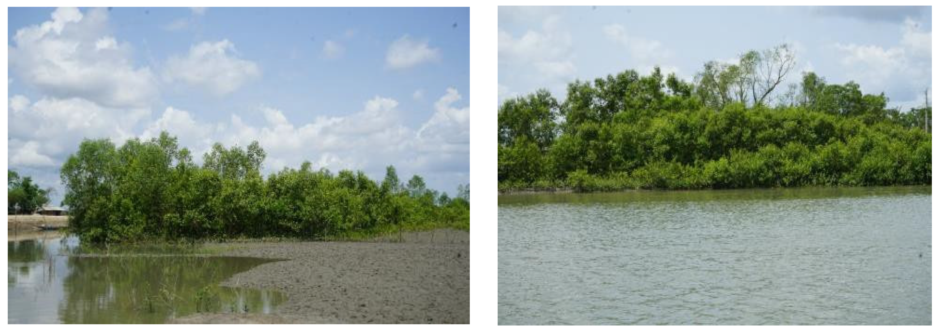 Sustainability 14 14885 g003 Sustainability 14 14885 g003