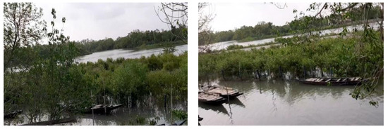 Sustainability 14 14885 g004