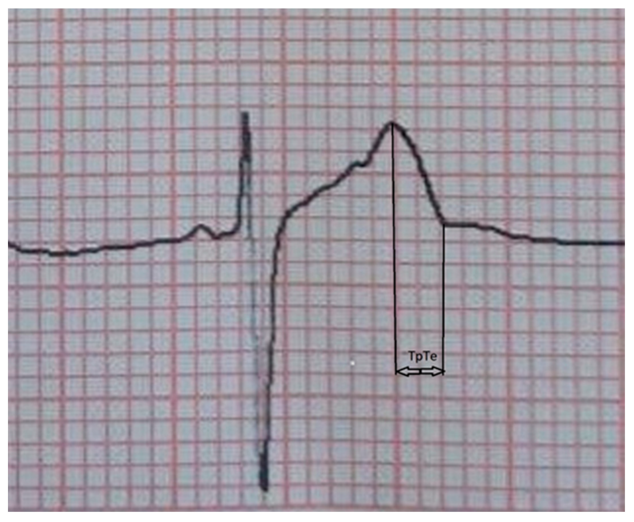 Sustainability 14 14916 g001