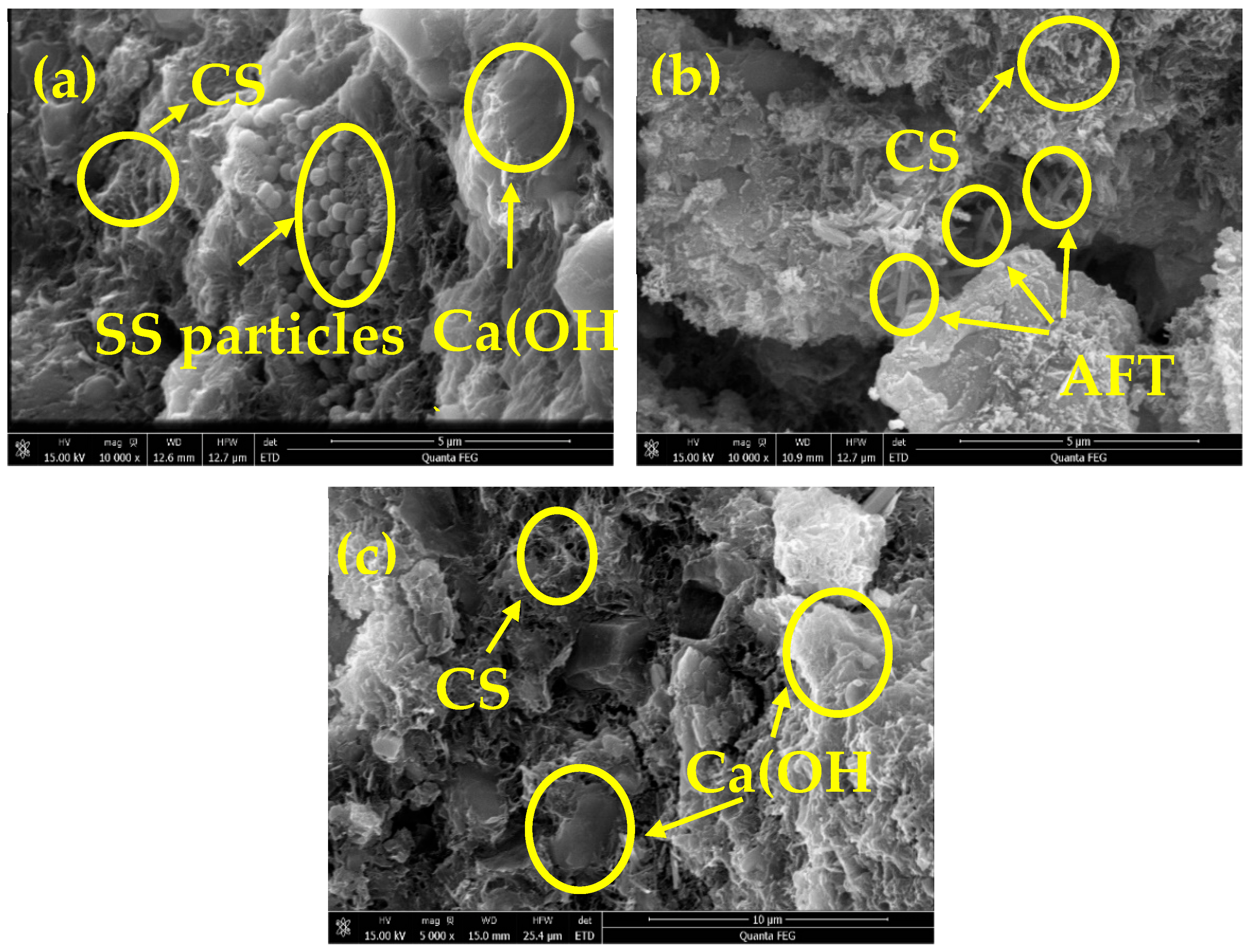 Sustainability 14 14952 g012
