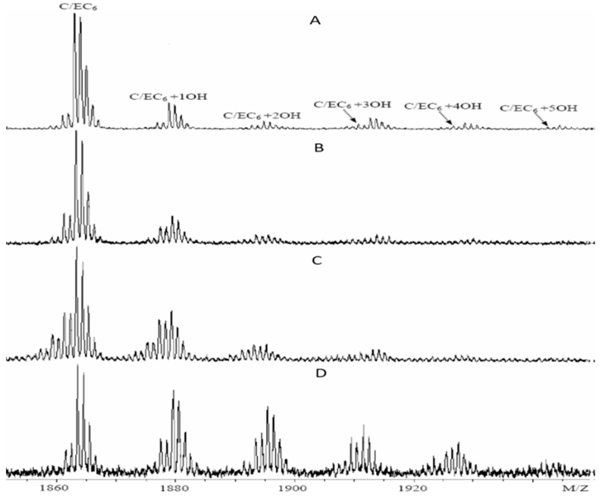 Sustainability 14 14960 g005