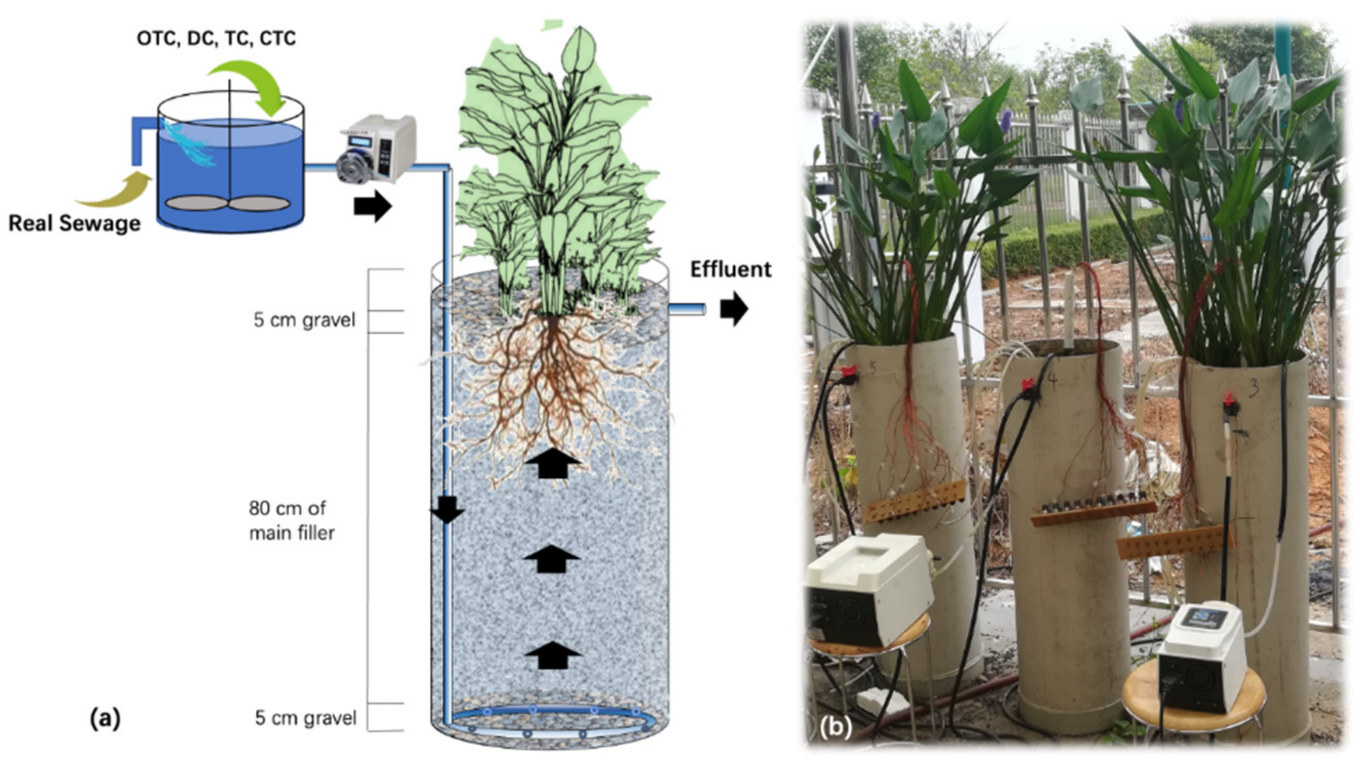 Sustainability 14 14989 g001 Sustainability 14 14989 g001