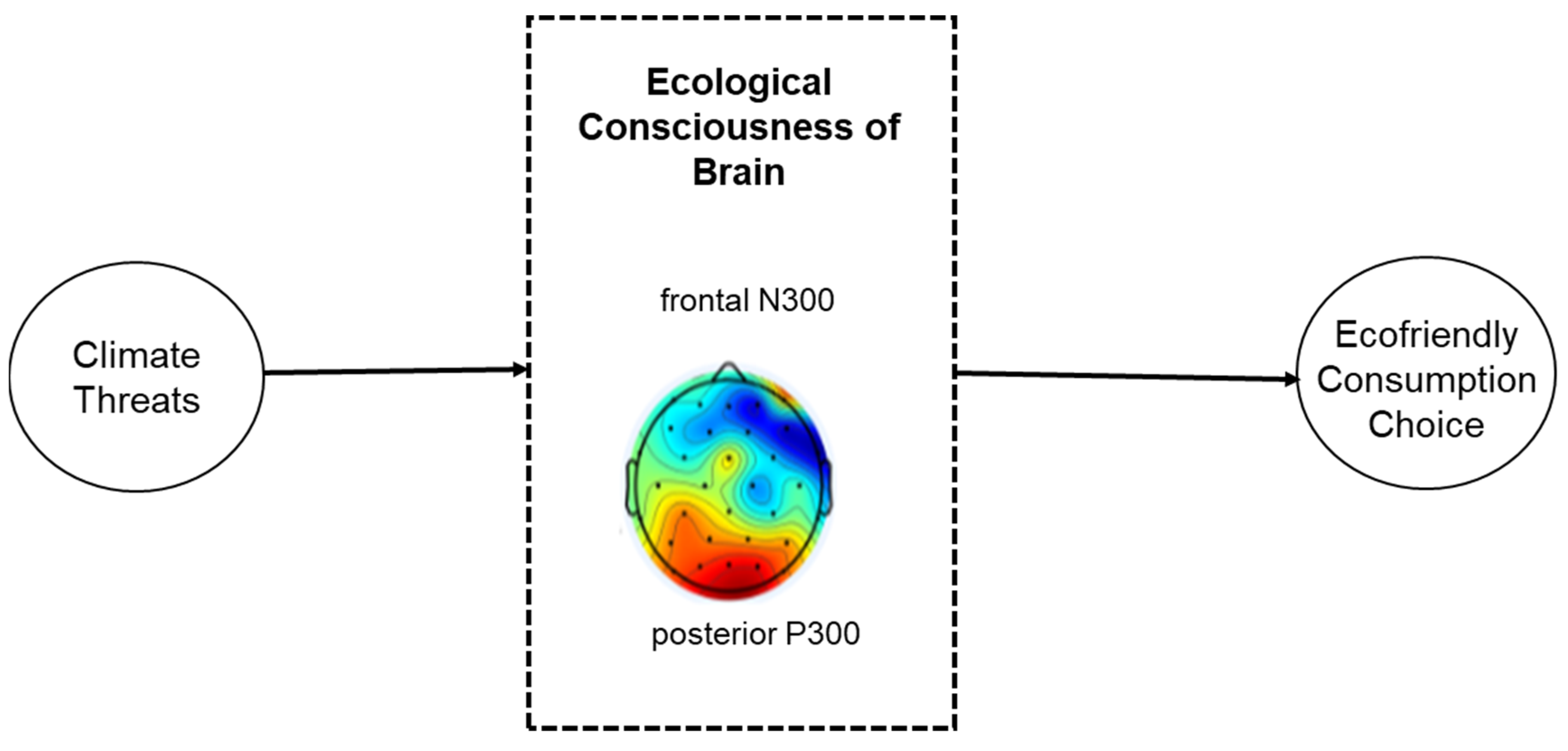 Sustainability 14 15007 g001
