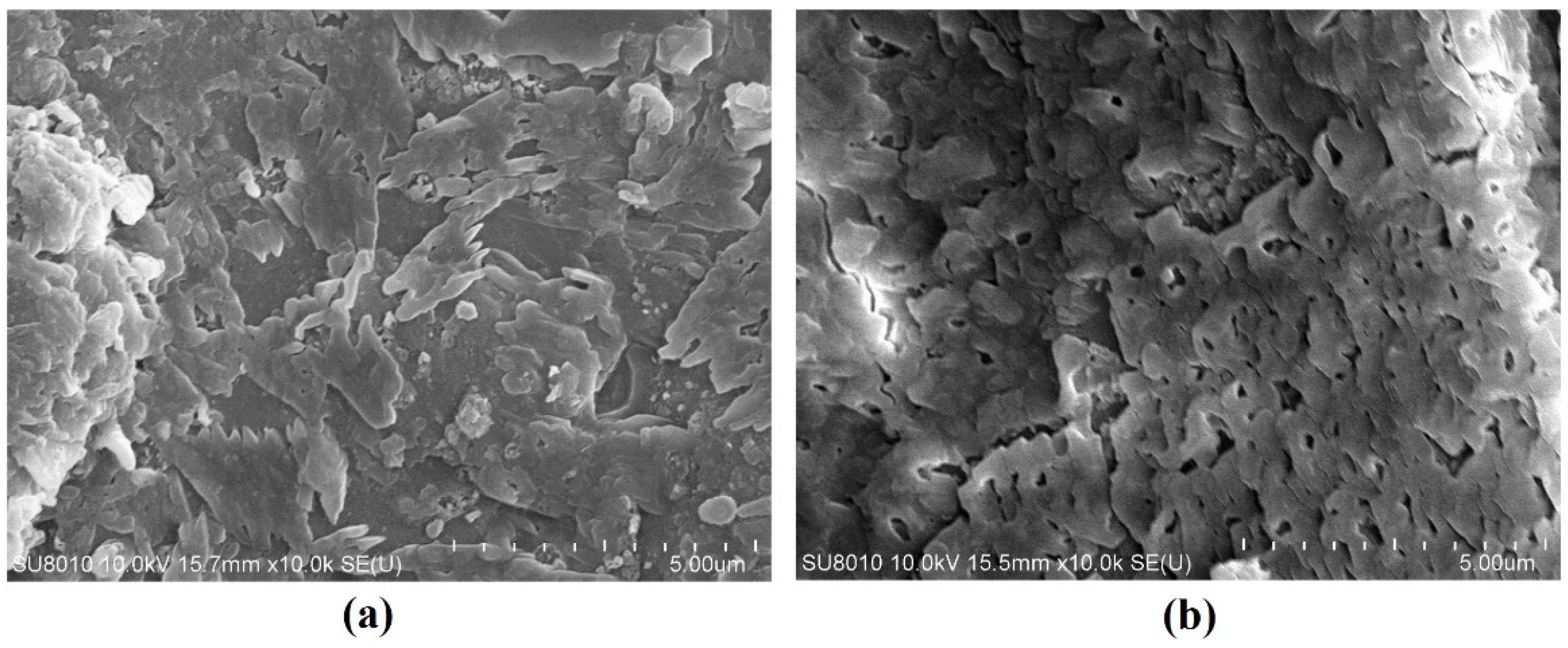 Sustainability 14 15062 g027