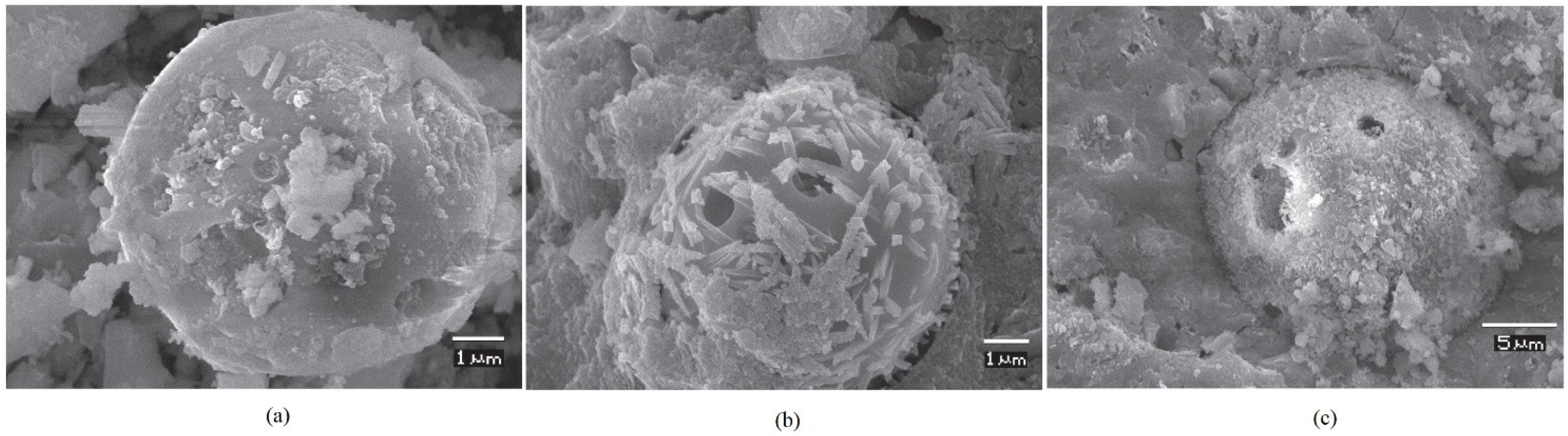 Sustainability 14 15062 g029