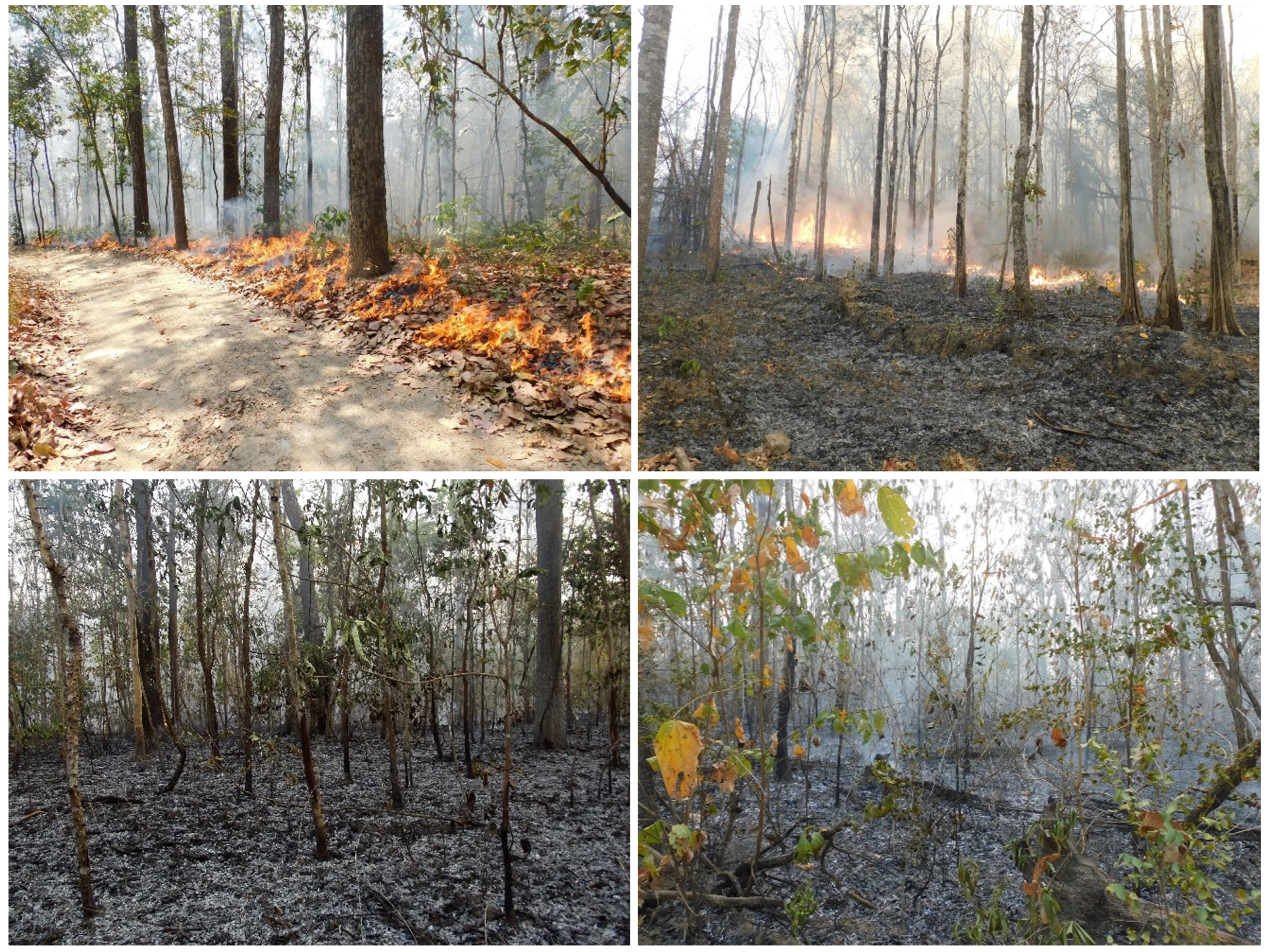 Sustainability 14 15067 g002