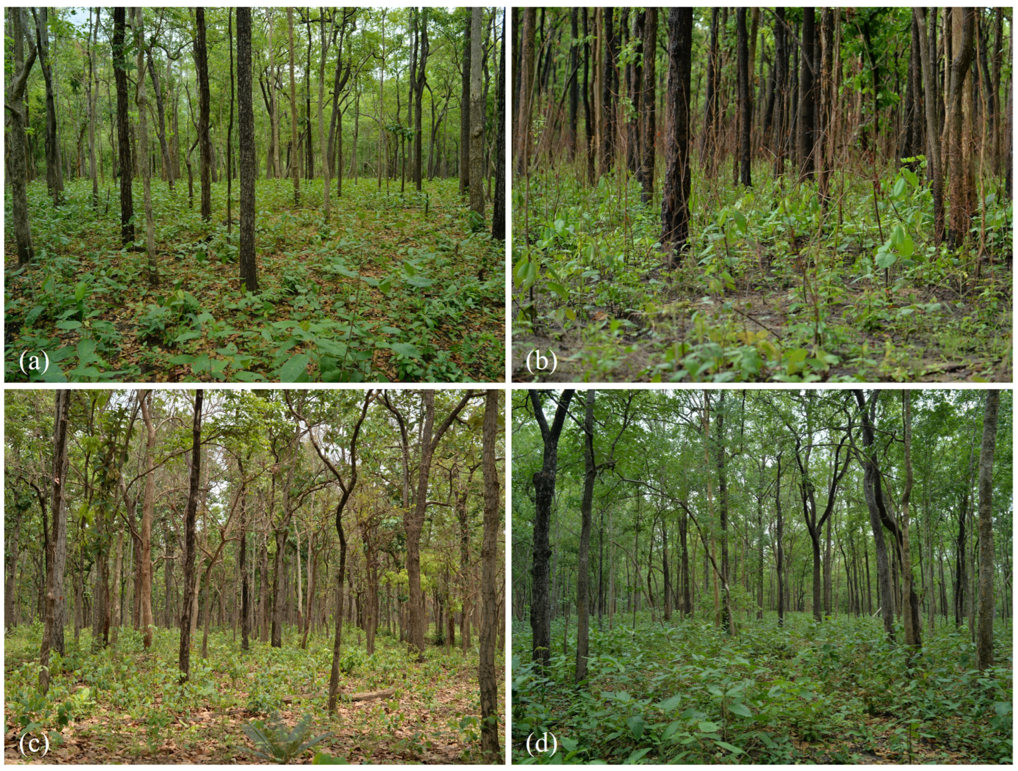 Sustainability 14 15067 g006