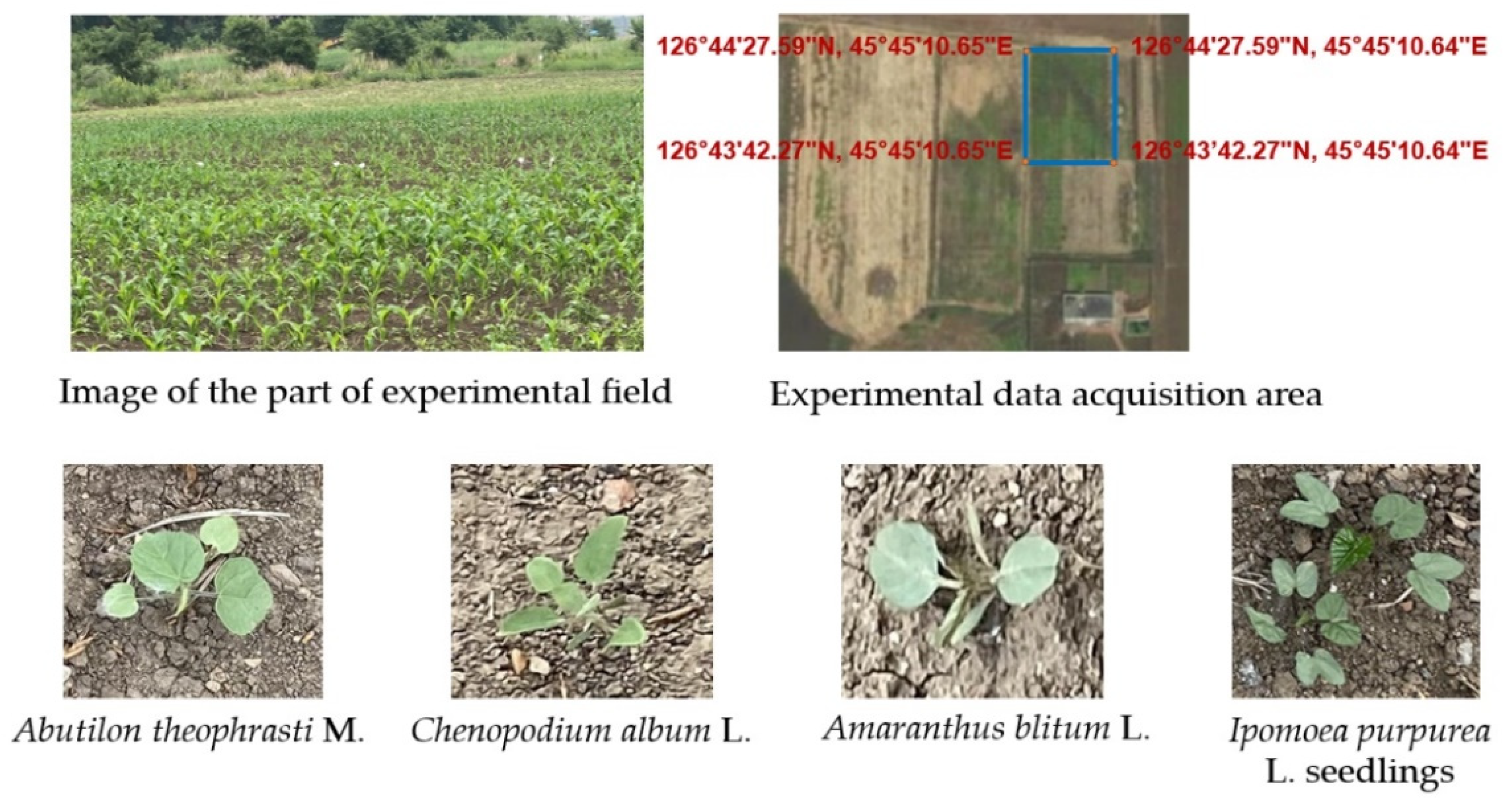 Sustainability 14 15088 g001a Sustainability 14 15088 g001a