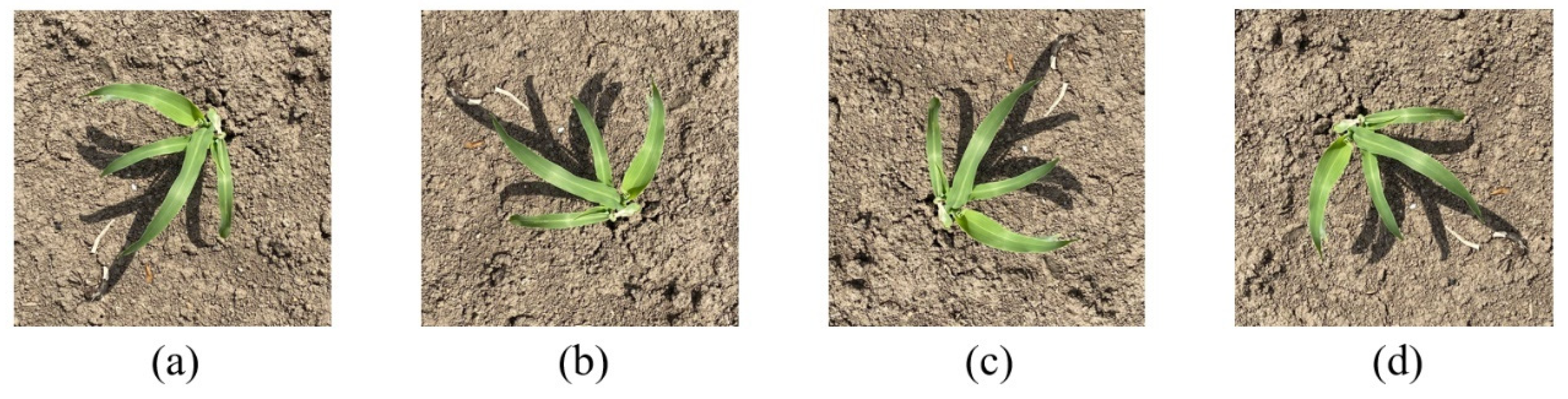 Sustainability 14 15088 g003 Sustainability 14 15088 g003