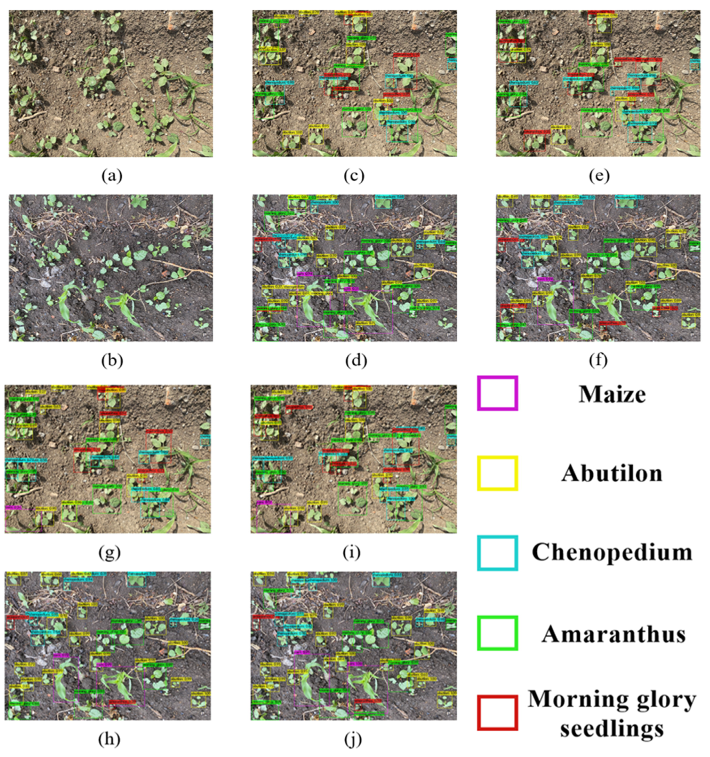 Sustainability 14 15088 g014 Sustainability 14 15088 g014