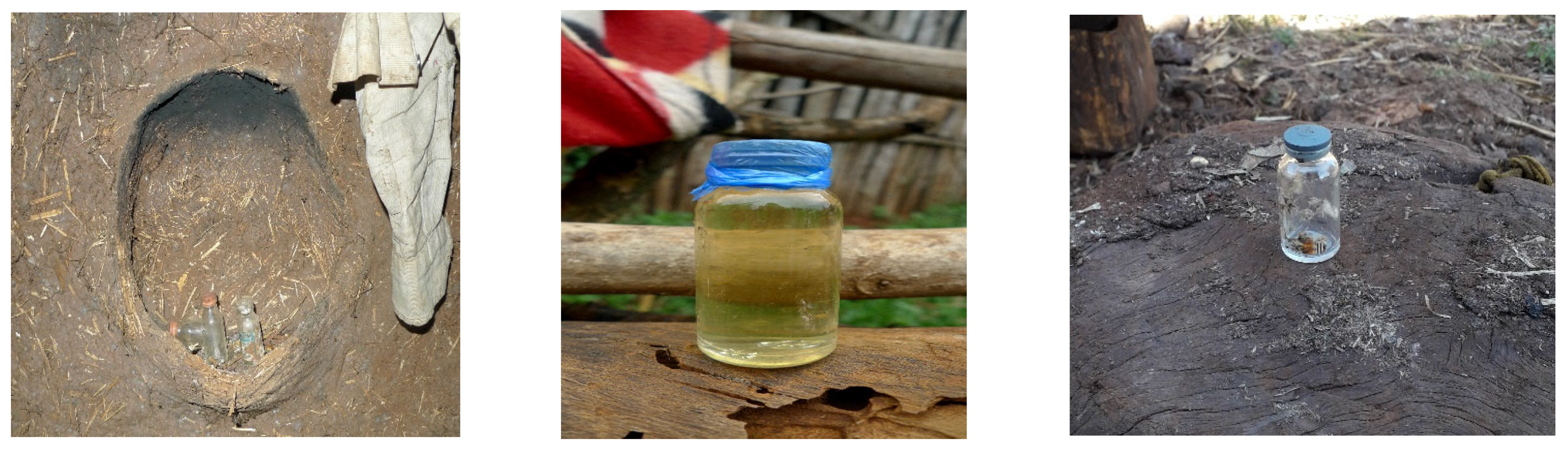 Sustainability 14 15215 g003