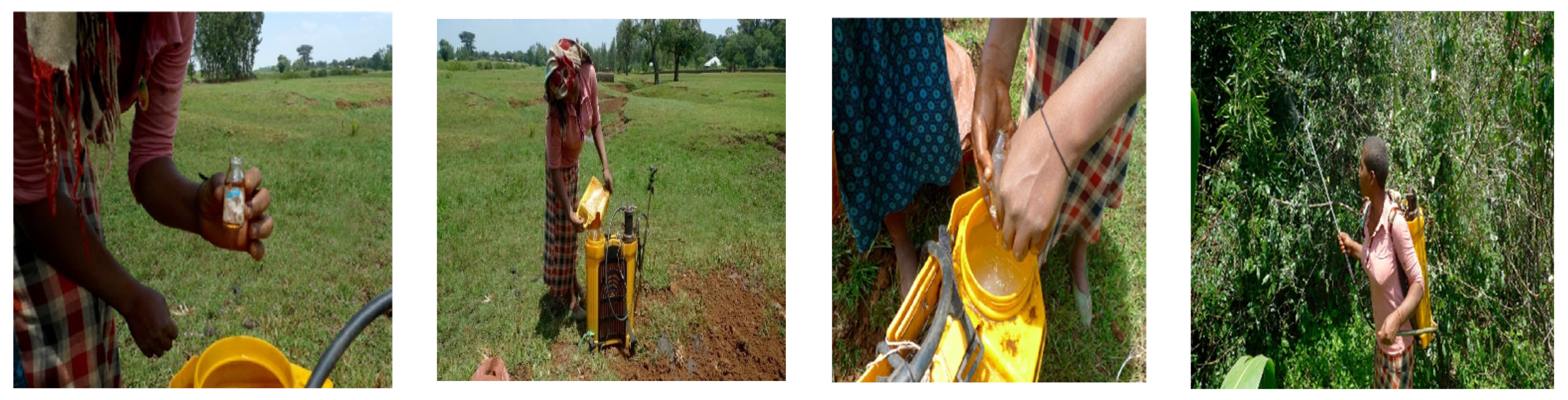 Sustainability 14 15215 g007