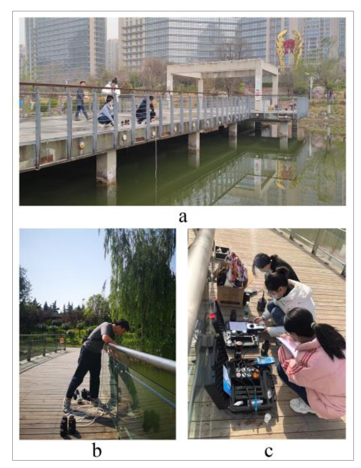 Sustainability 14 15263 g004