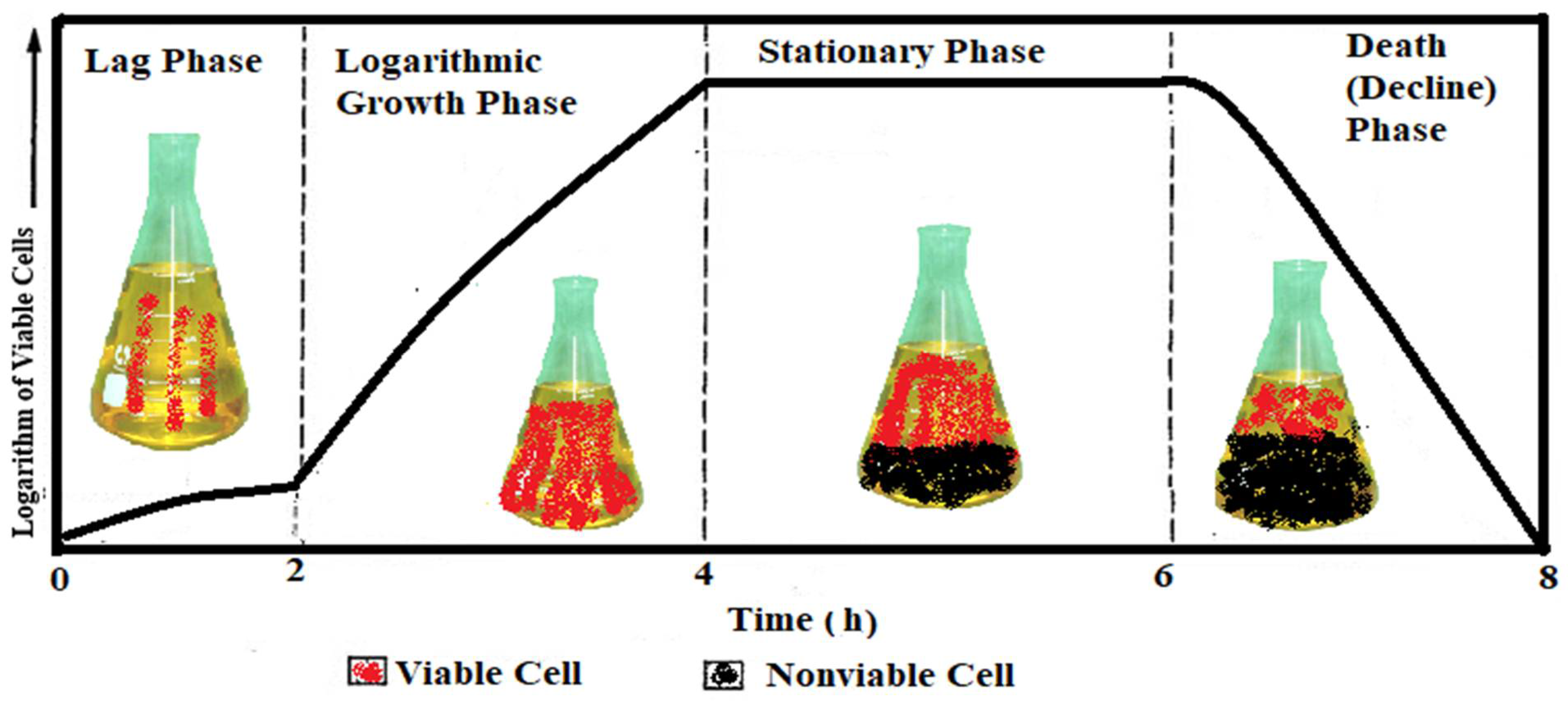 Sustainability 14 15353 g002 Sustainability 14 15353 g002