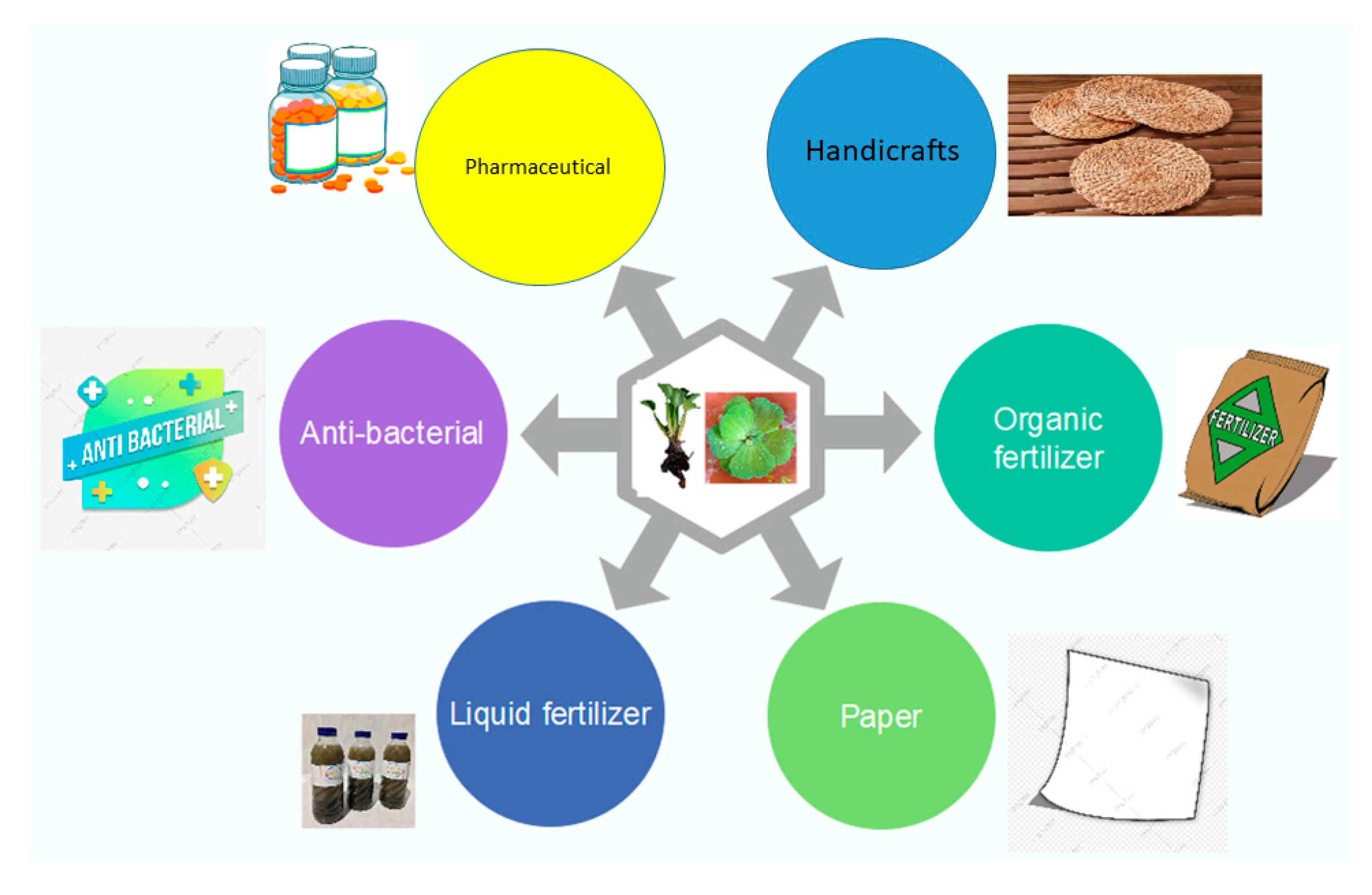 Sustainability 14 15404 g004