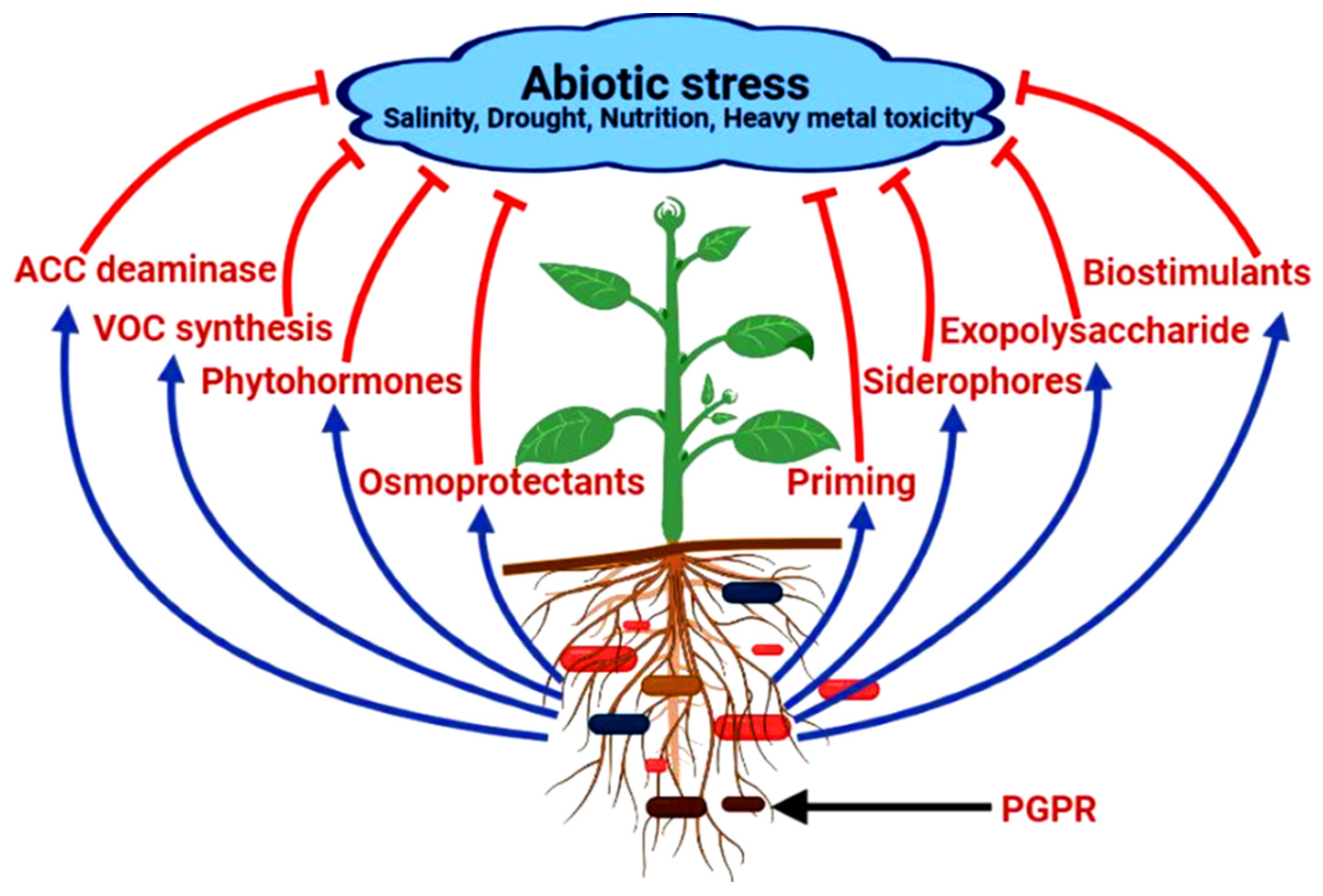 Sustainability 14 15514 g001