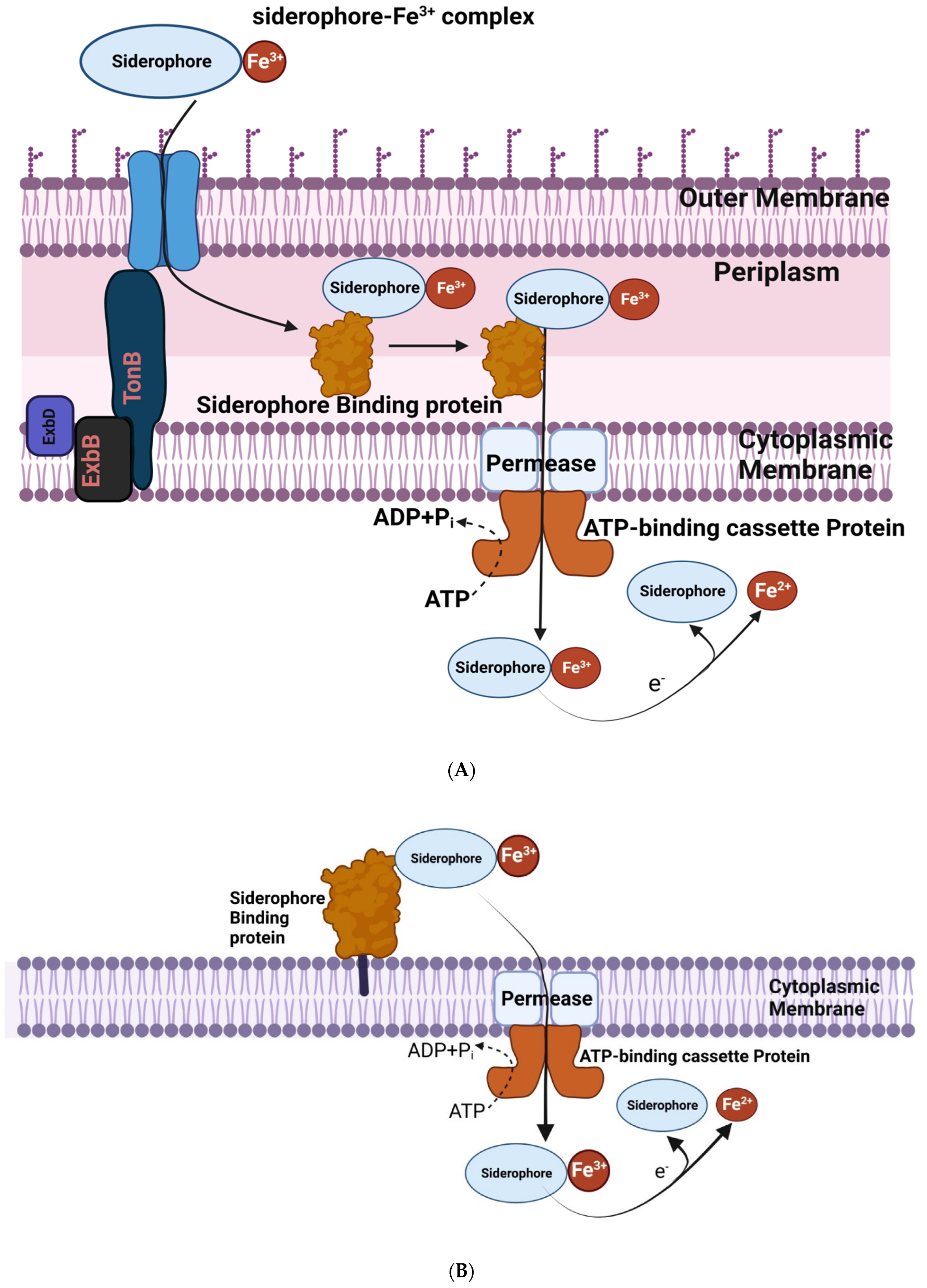 Sustainability 14 15514 g003