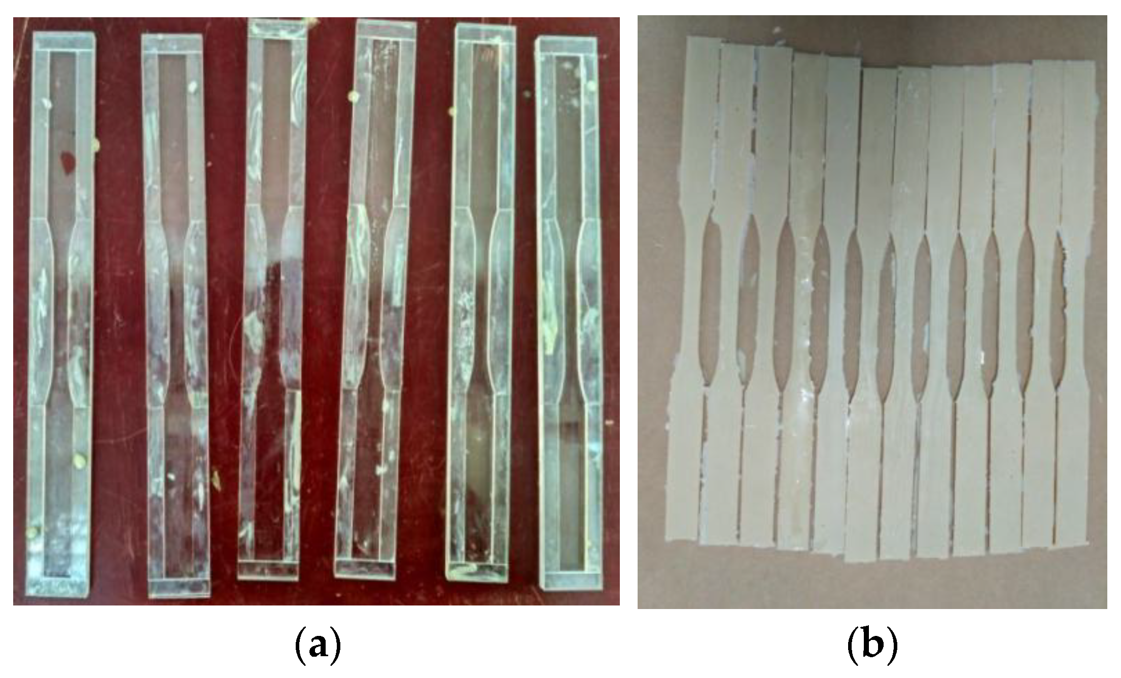 Sustainability 14 15537 g005
