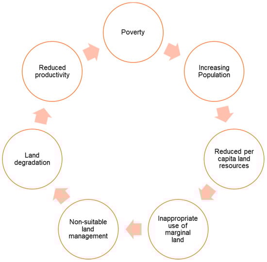 Sustainability 14 15602 g005