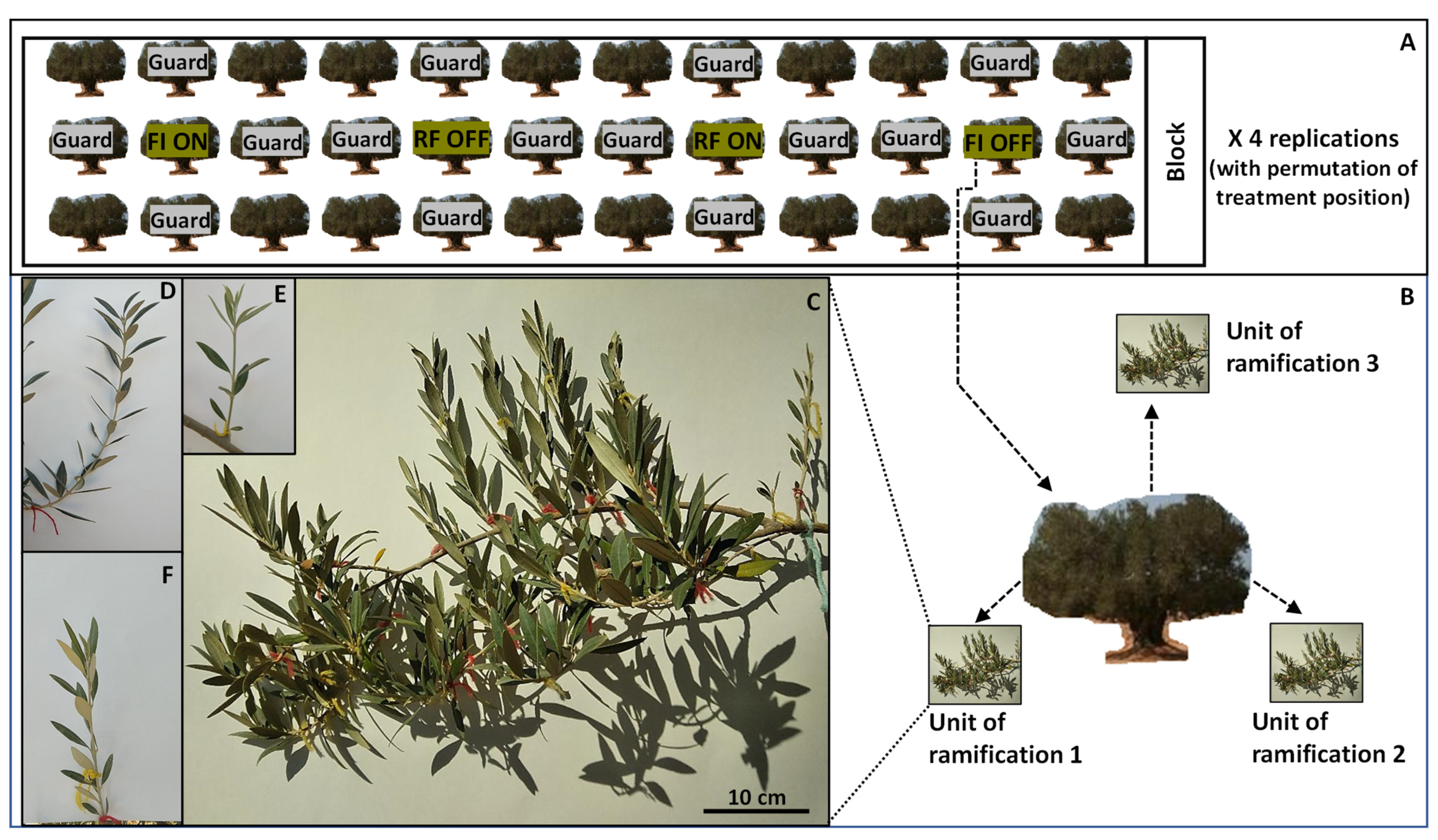 Sustainability 14 15614 g001