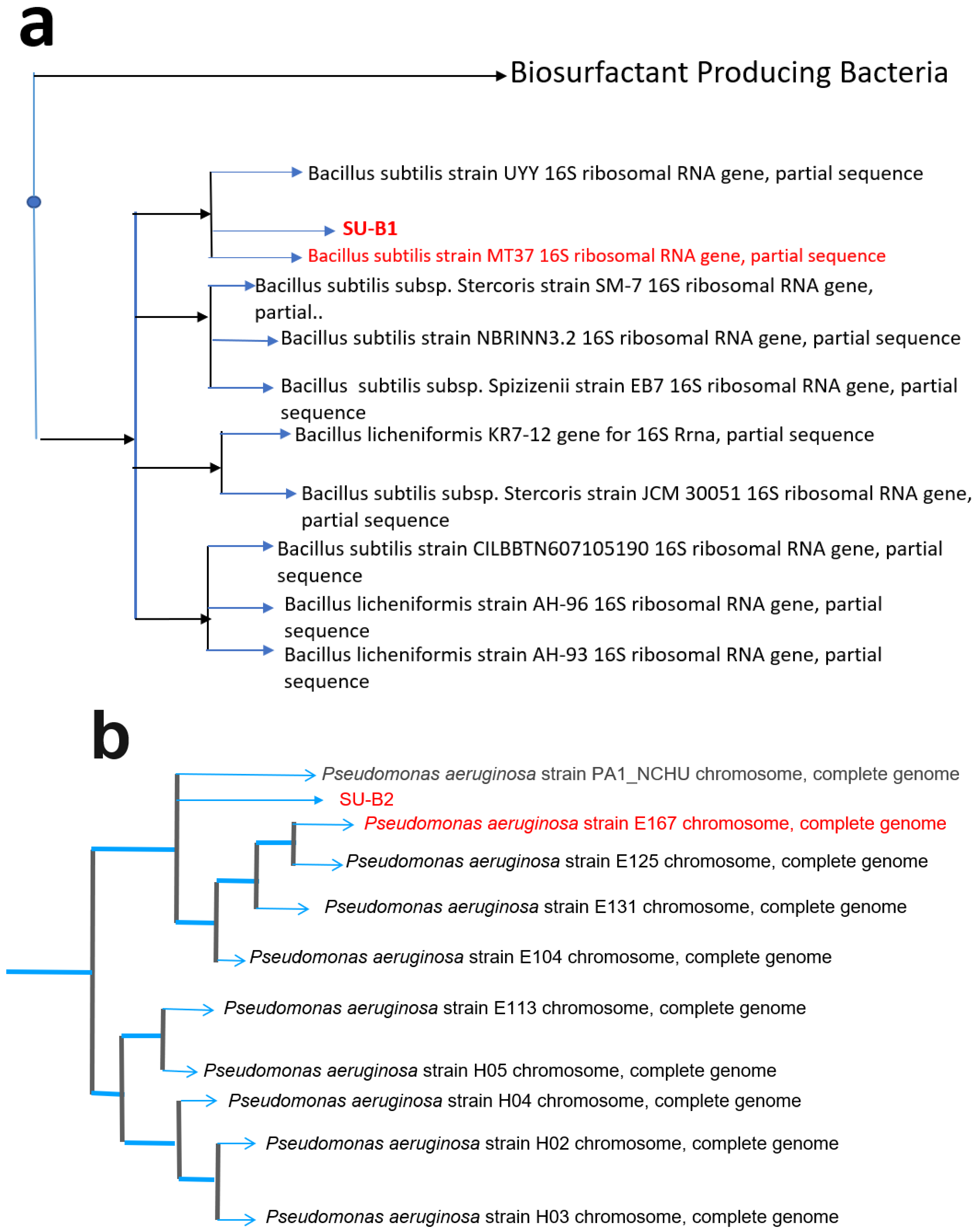 Sustainability 14 15638 g002