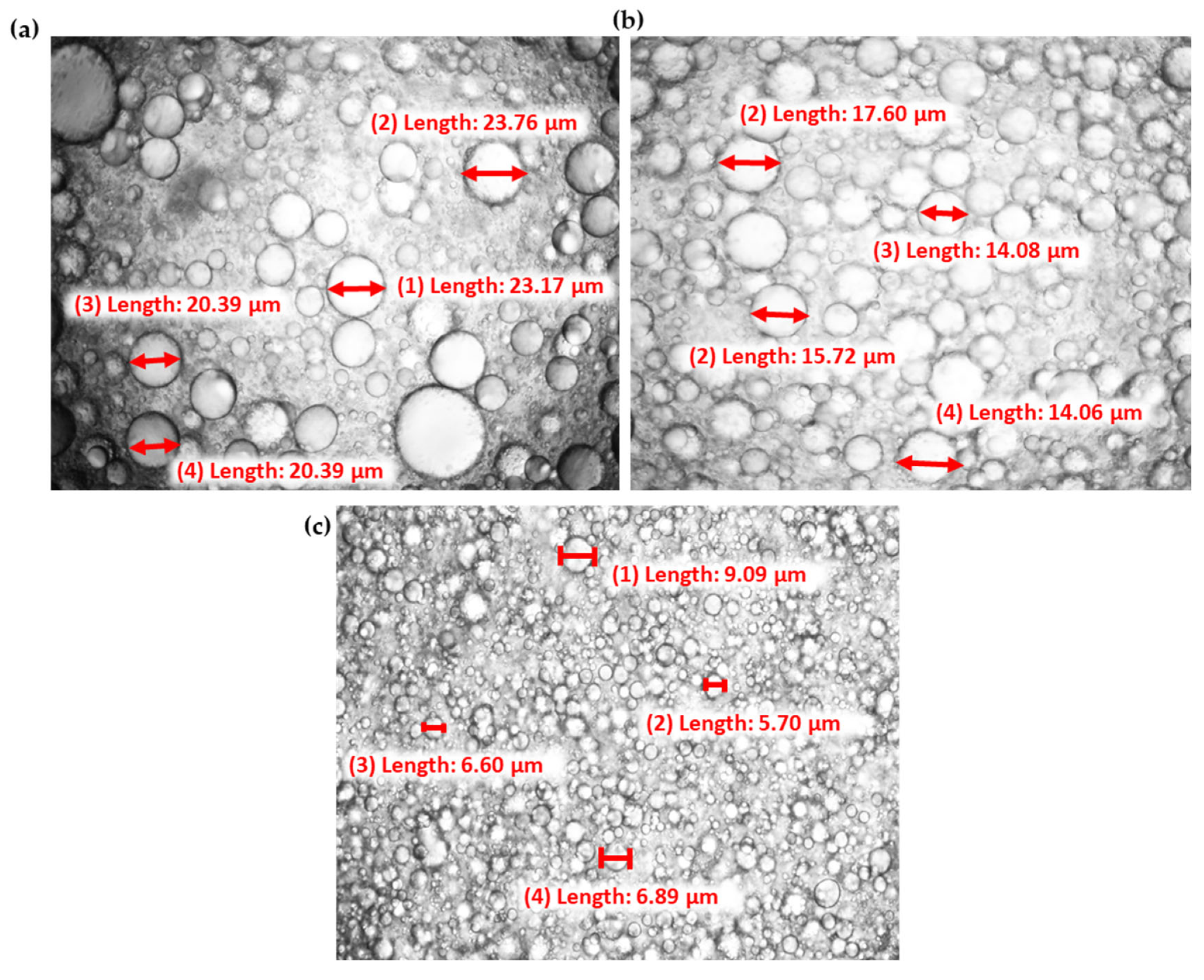 Sustainability 14 15722 g005 Sustainability 14 15722 g005