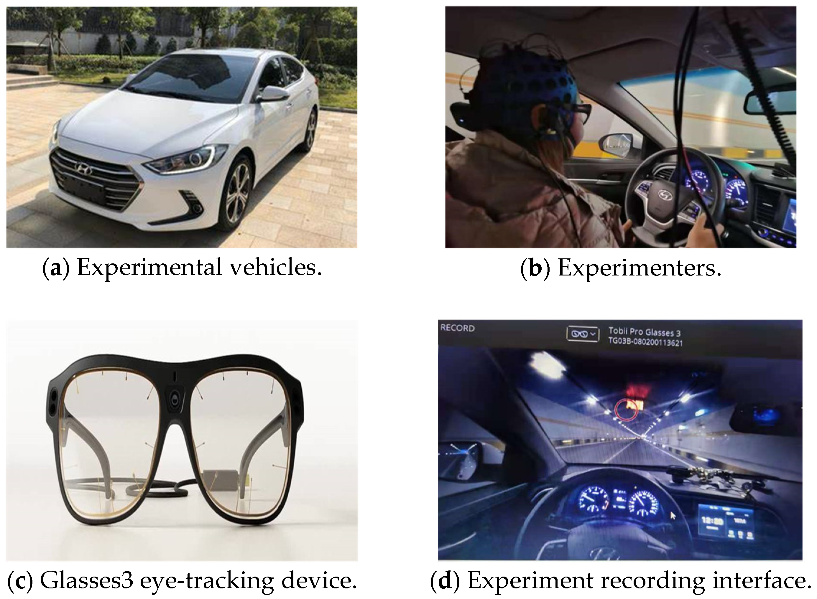 Sustainability 14 15736 g002