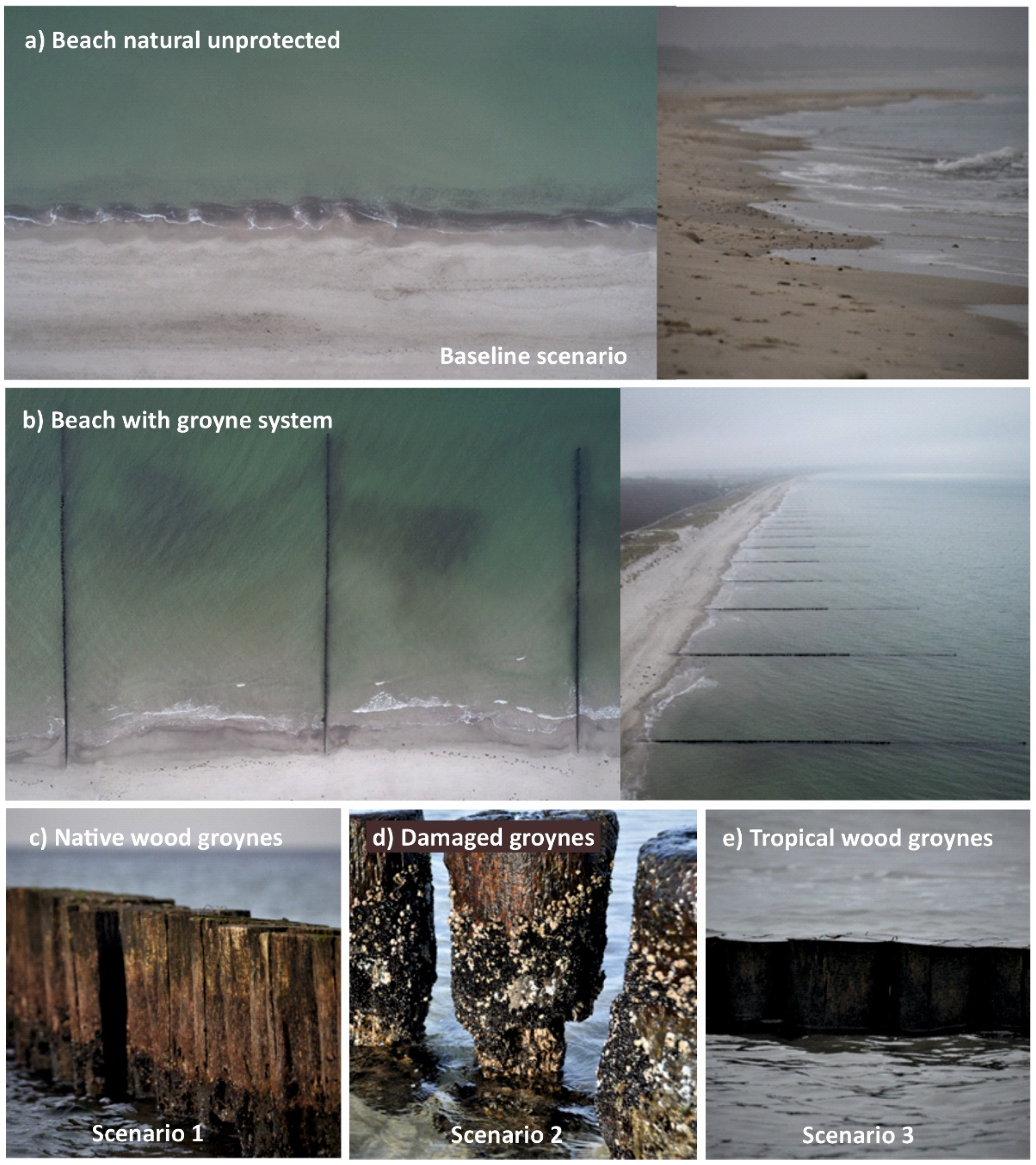 Sustainability 14 15737 g002 Sustainability 14 15737 g002