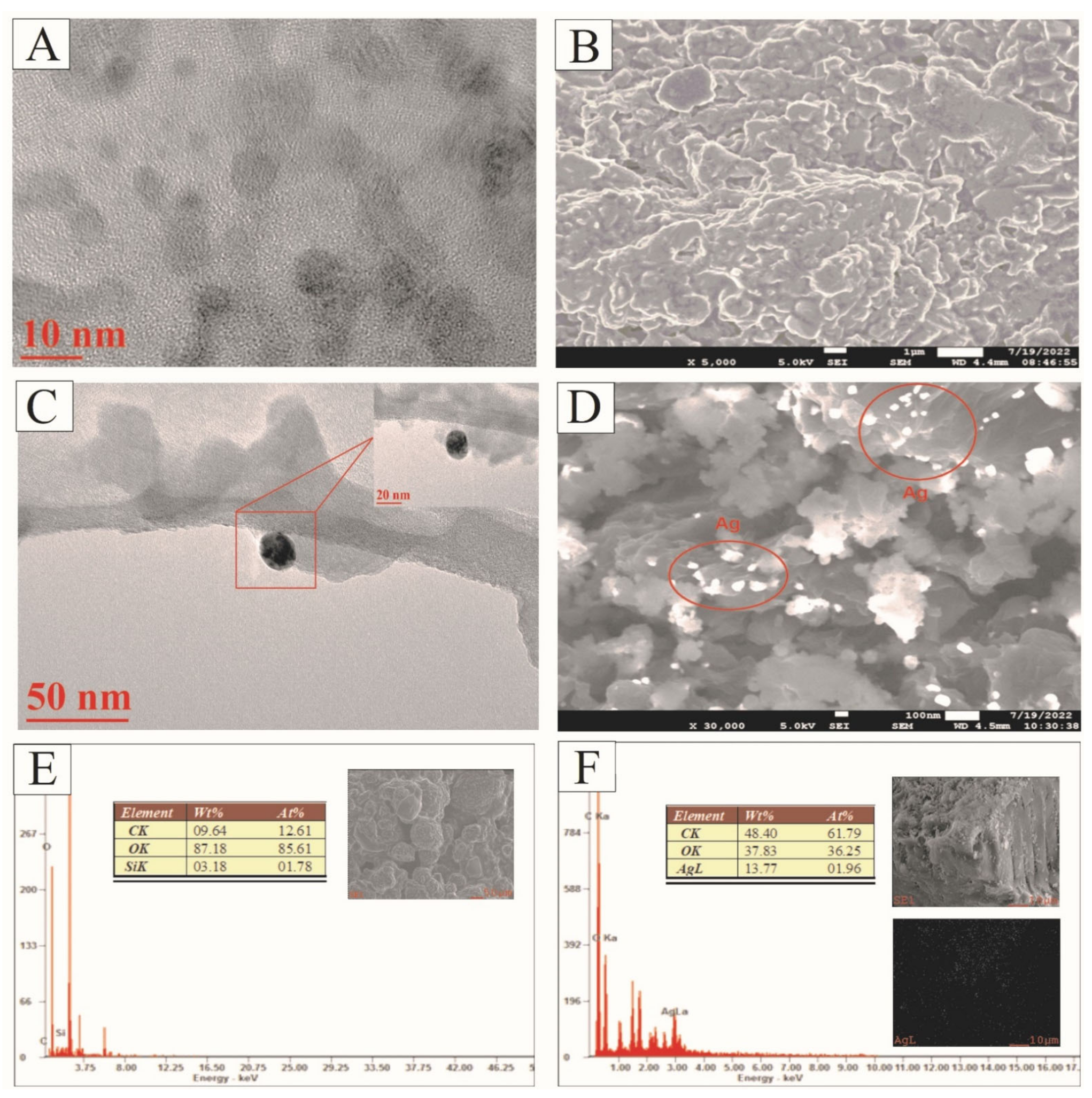 Sustainability 14 15843 g002