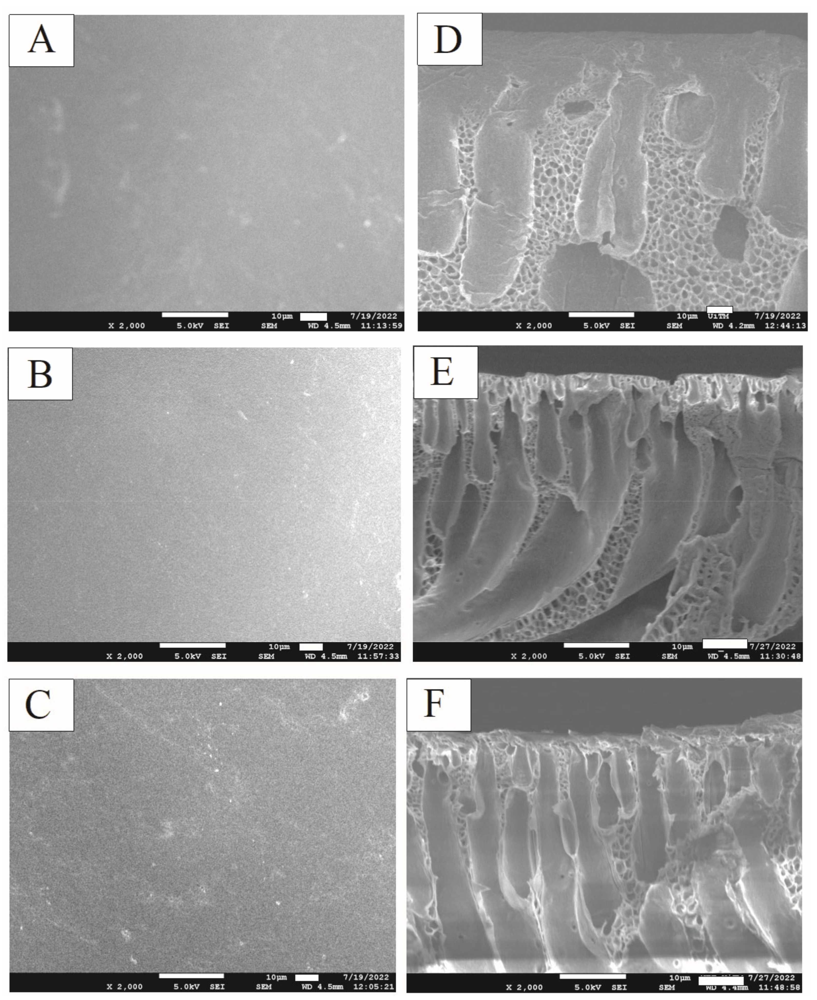 Sustainability 14 15843 g006