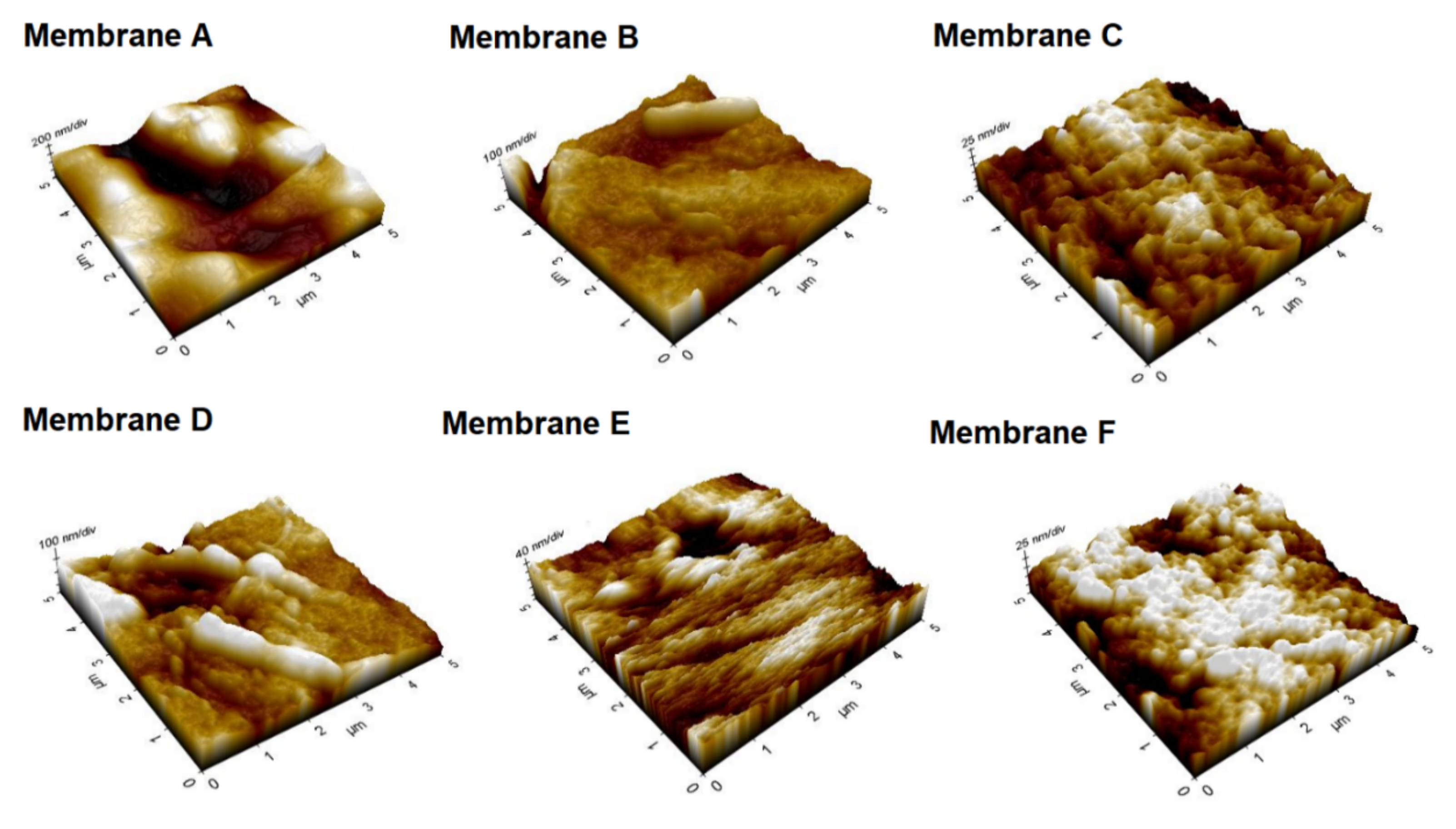 Sustainability 14 15843 g008