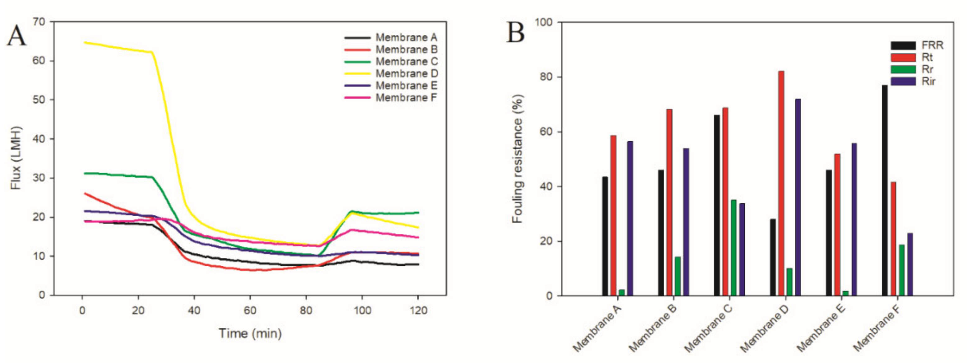 Sustainability 14 15843 g010