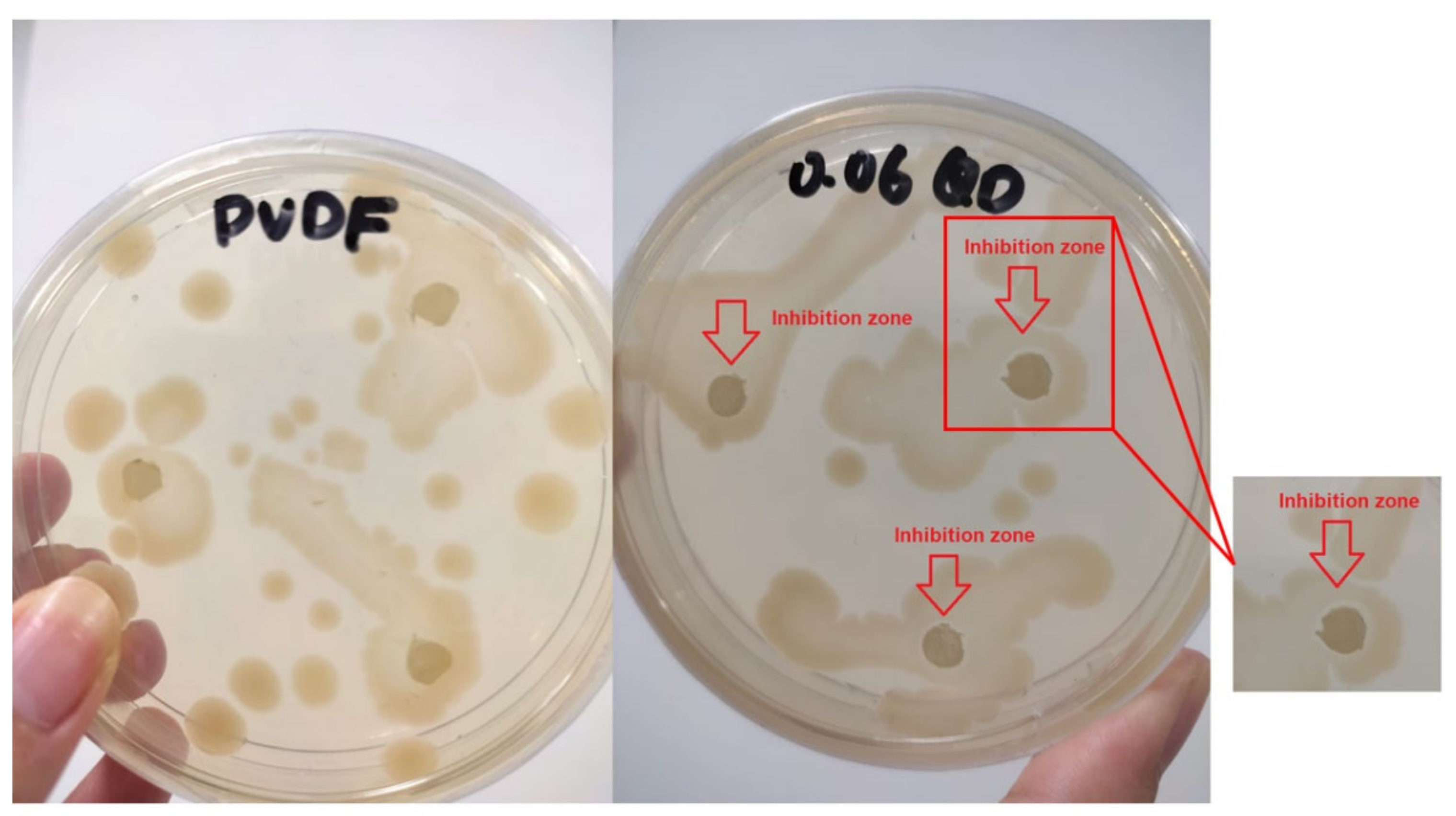 Sustainability 14 15843 g011
