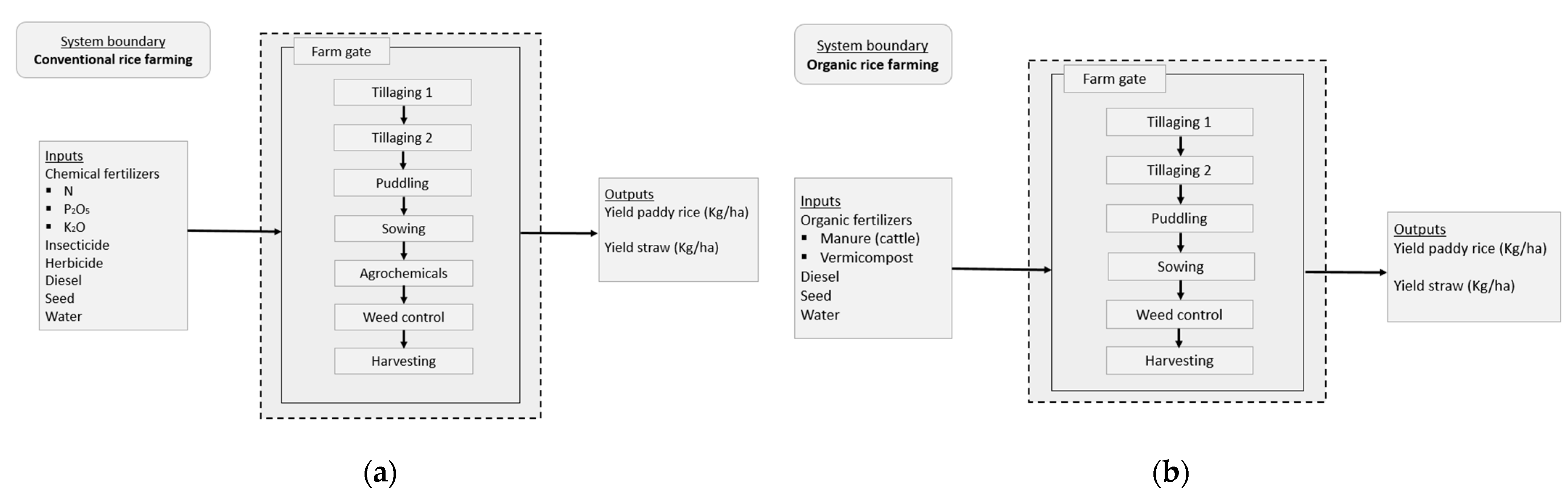 Sustainability 14 15870 g002
