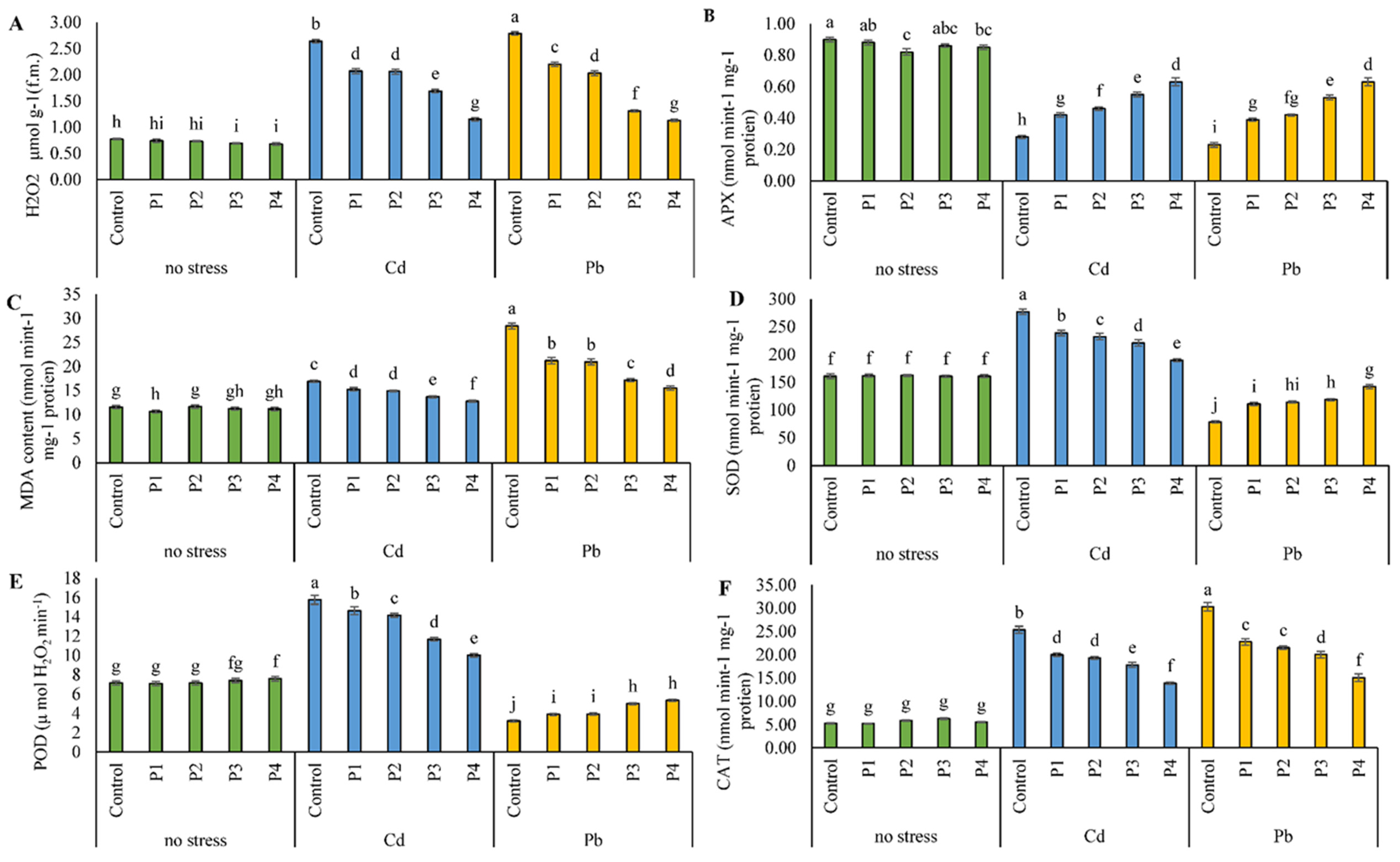 Sustainability 14 15879 g002