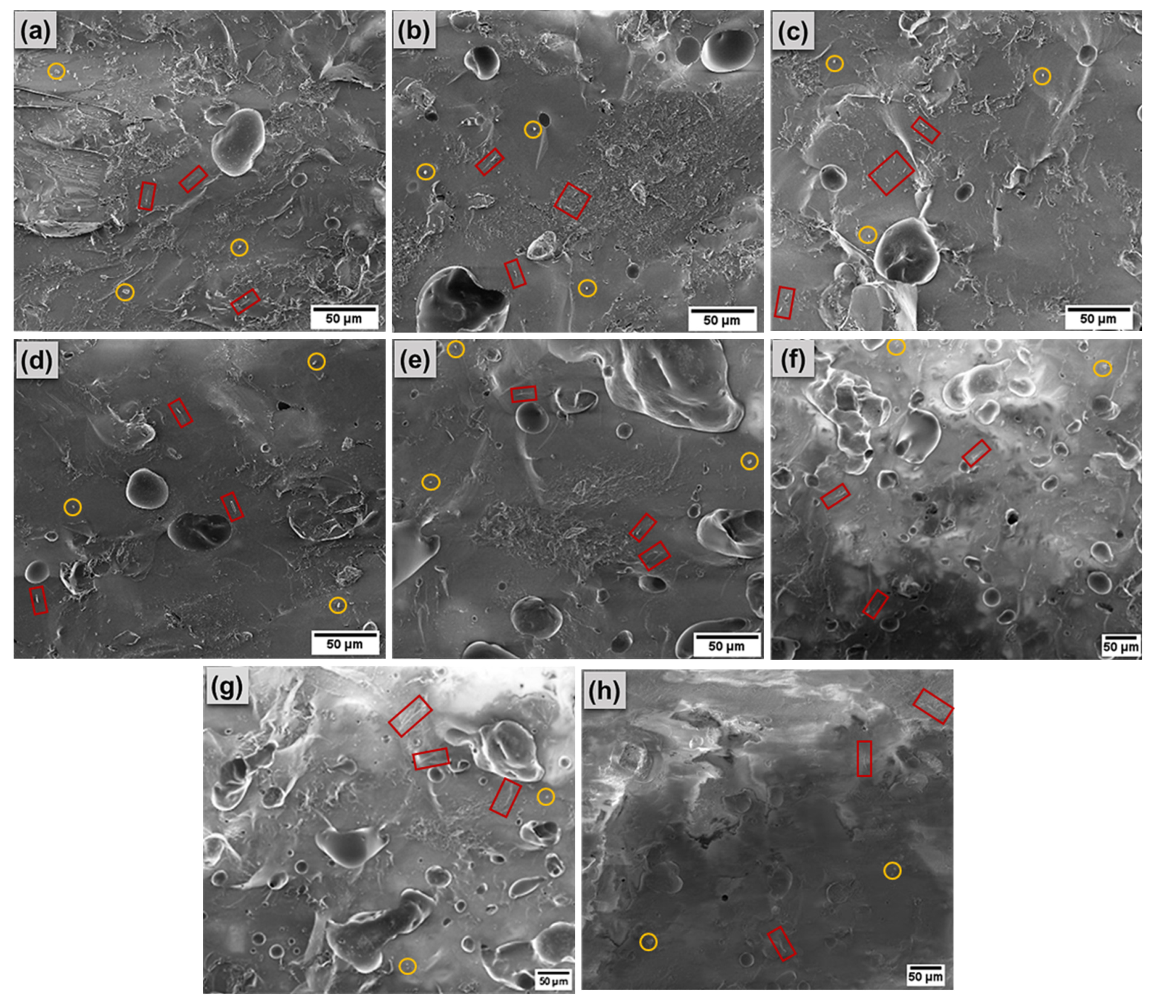 Sustainability 14 15973 g010