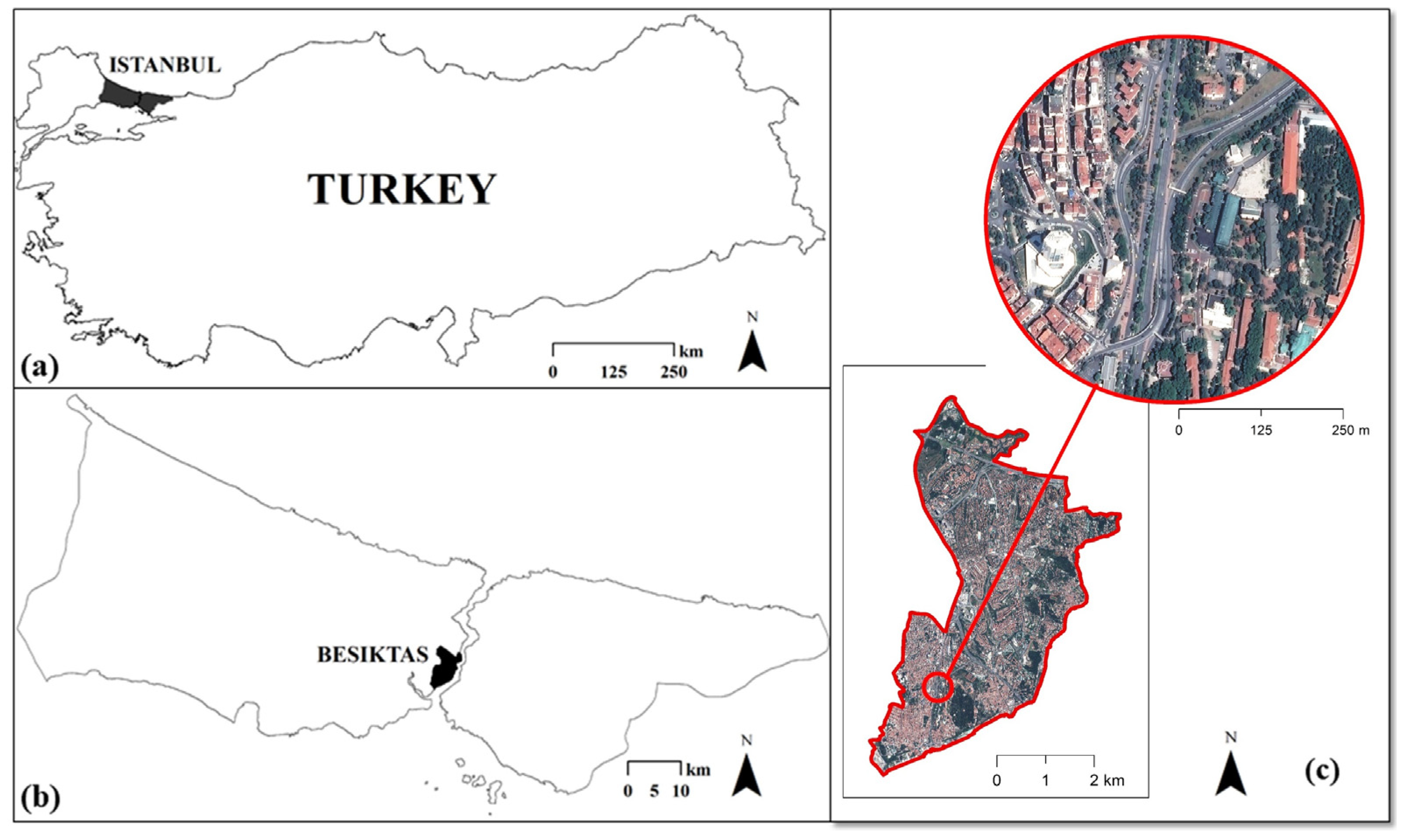 Sustainability 14 16030 g001
