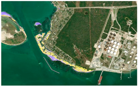 Sustainability 14 16046 i003 Sustainability 14 16046 i003