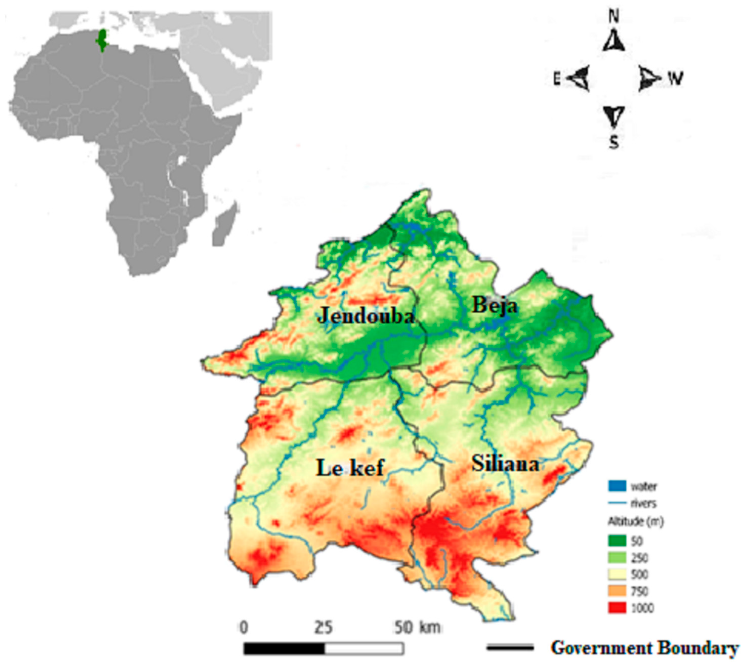 Sustainability 14 16054 g001 Sustainability 14 16054 g001