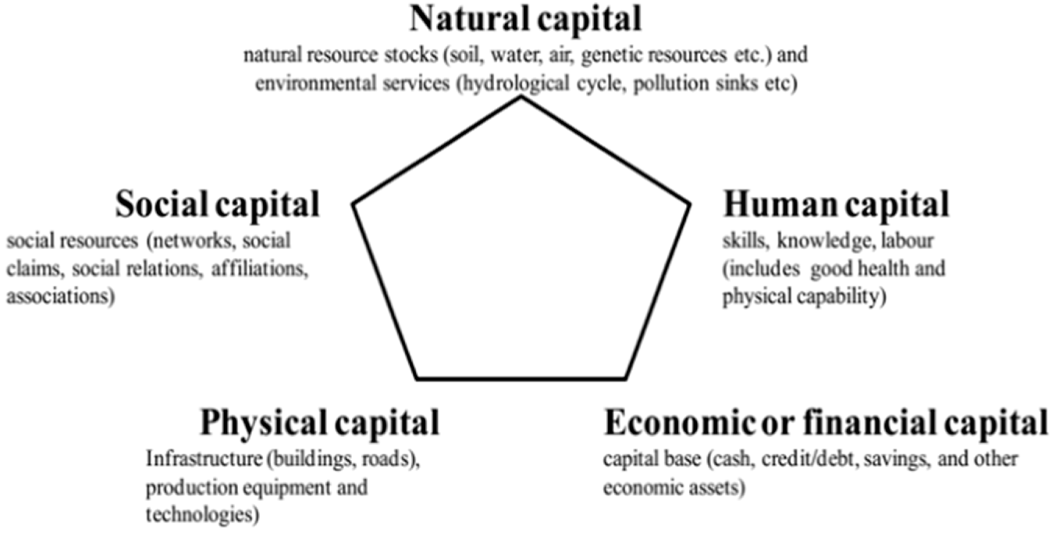 Sustainability 14 16078 g001