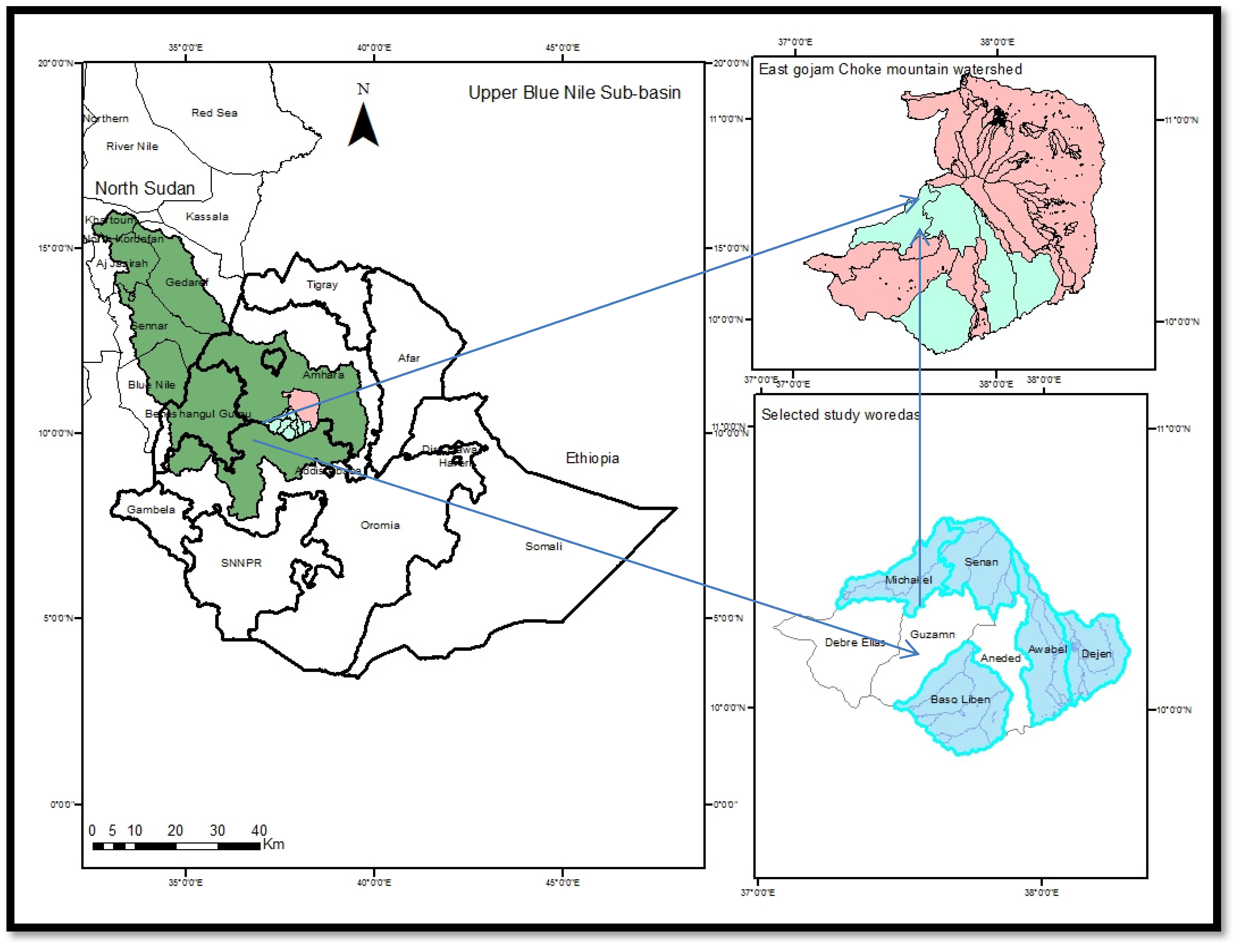 Sustainability 14 16143 g001 Sustainability 14 16143 g001