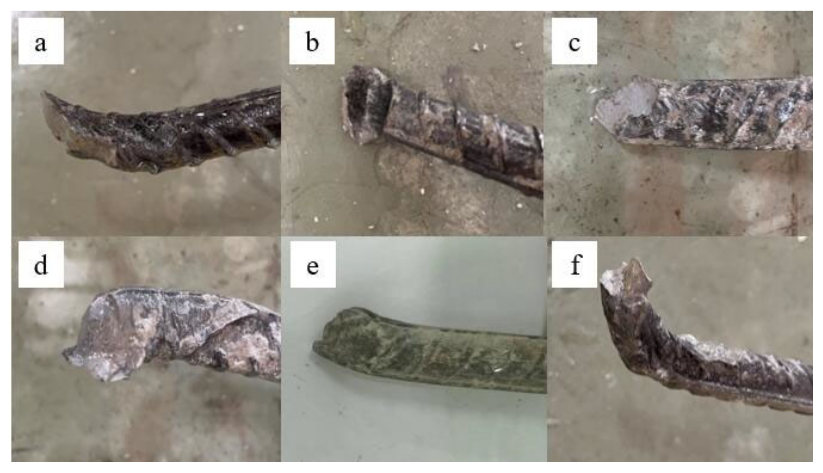 Sustainability 14 16154 g007