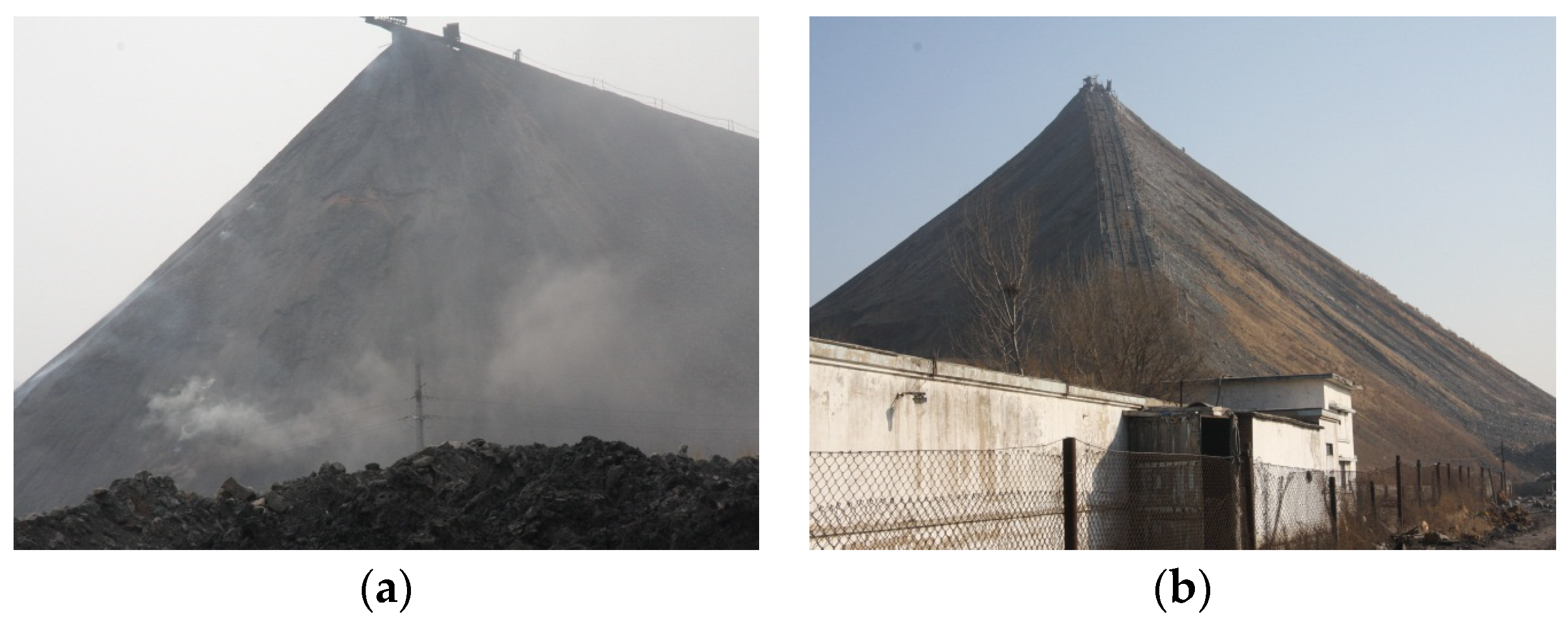 Sustainability 14 16210 g001